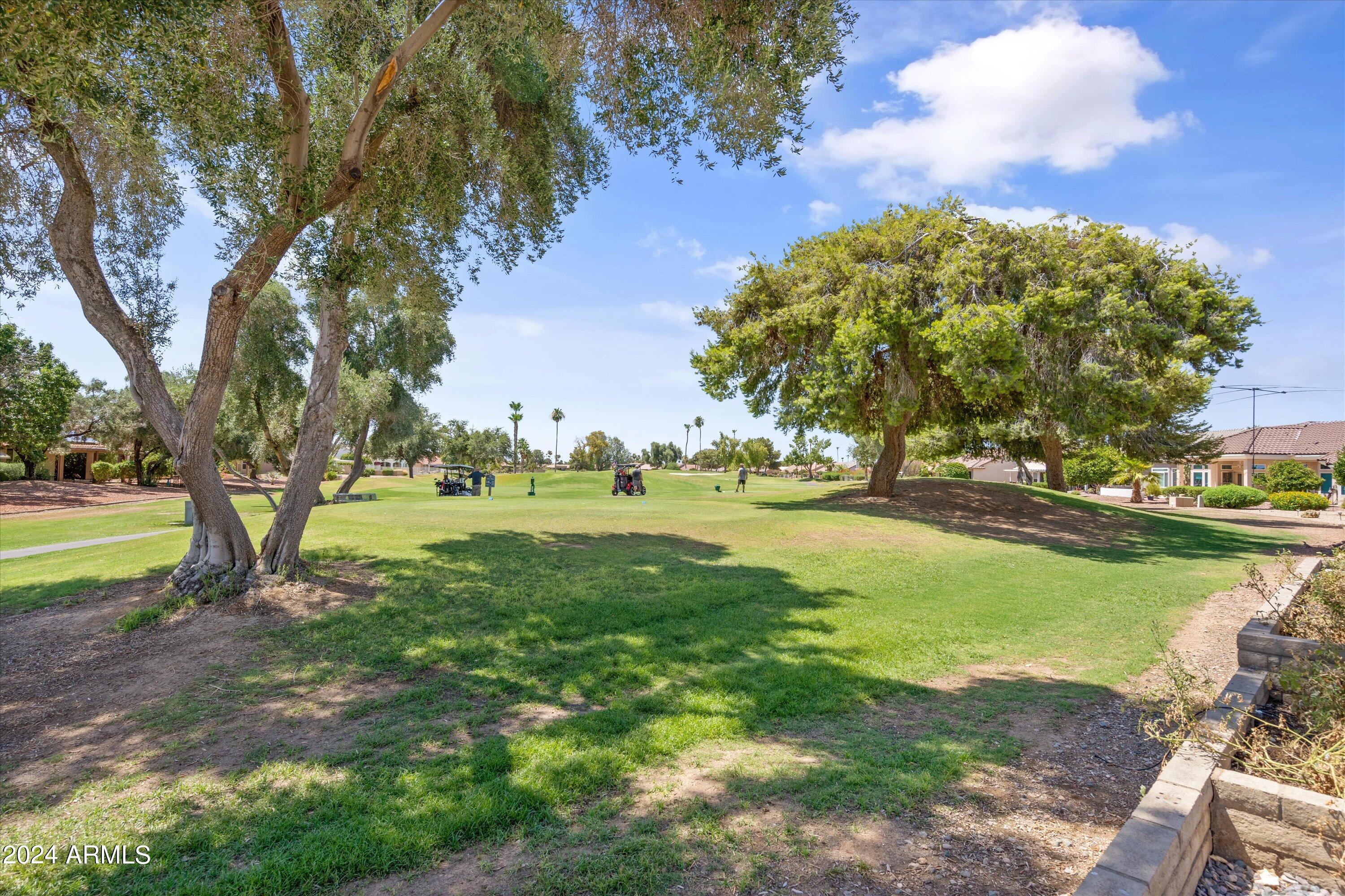 14203 W MEADOWOOD Drive