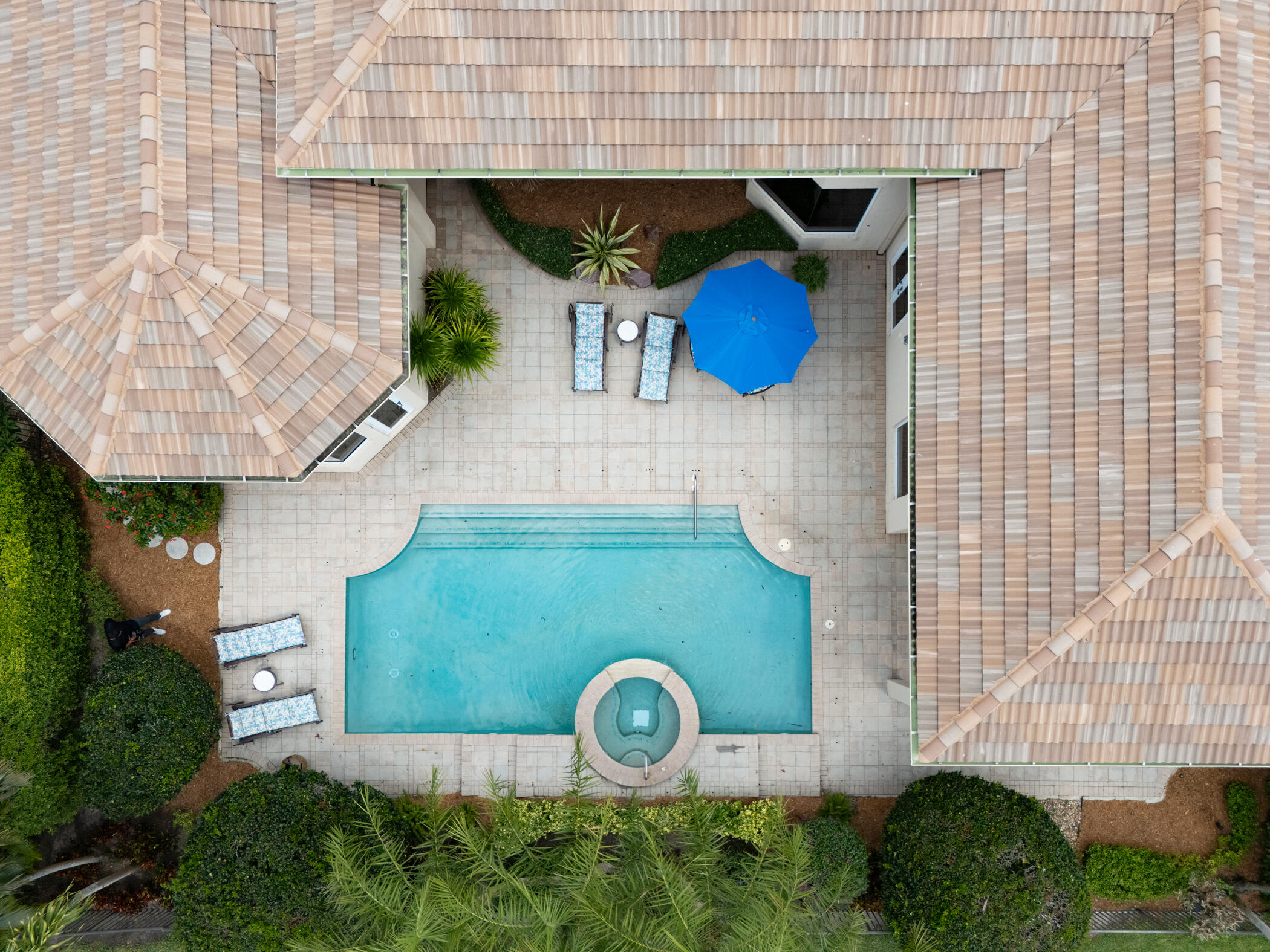 123 Grand Palm Way