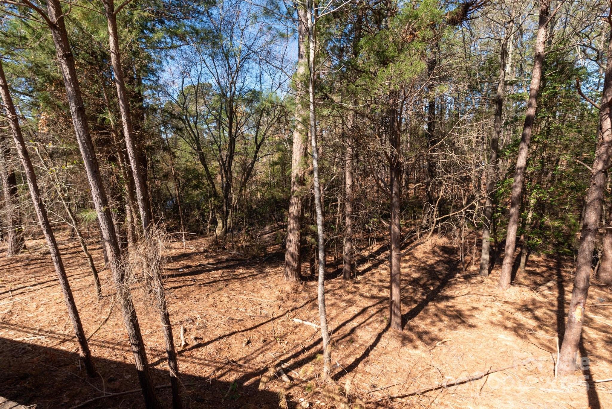 1005 Sweetleaf Drive