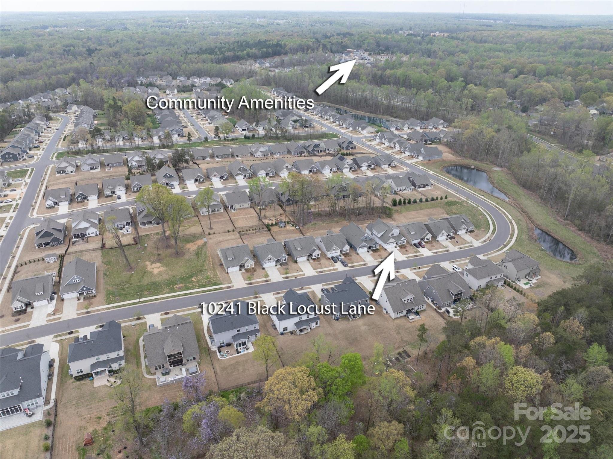 10241 Black Locust Lane