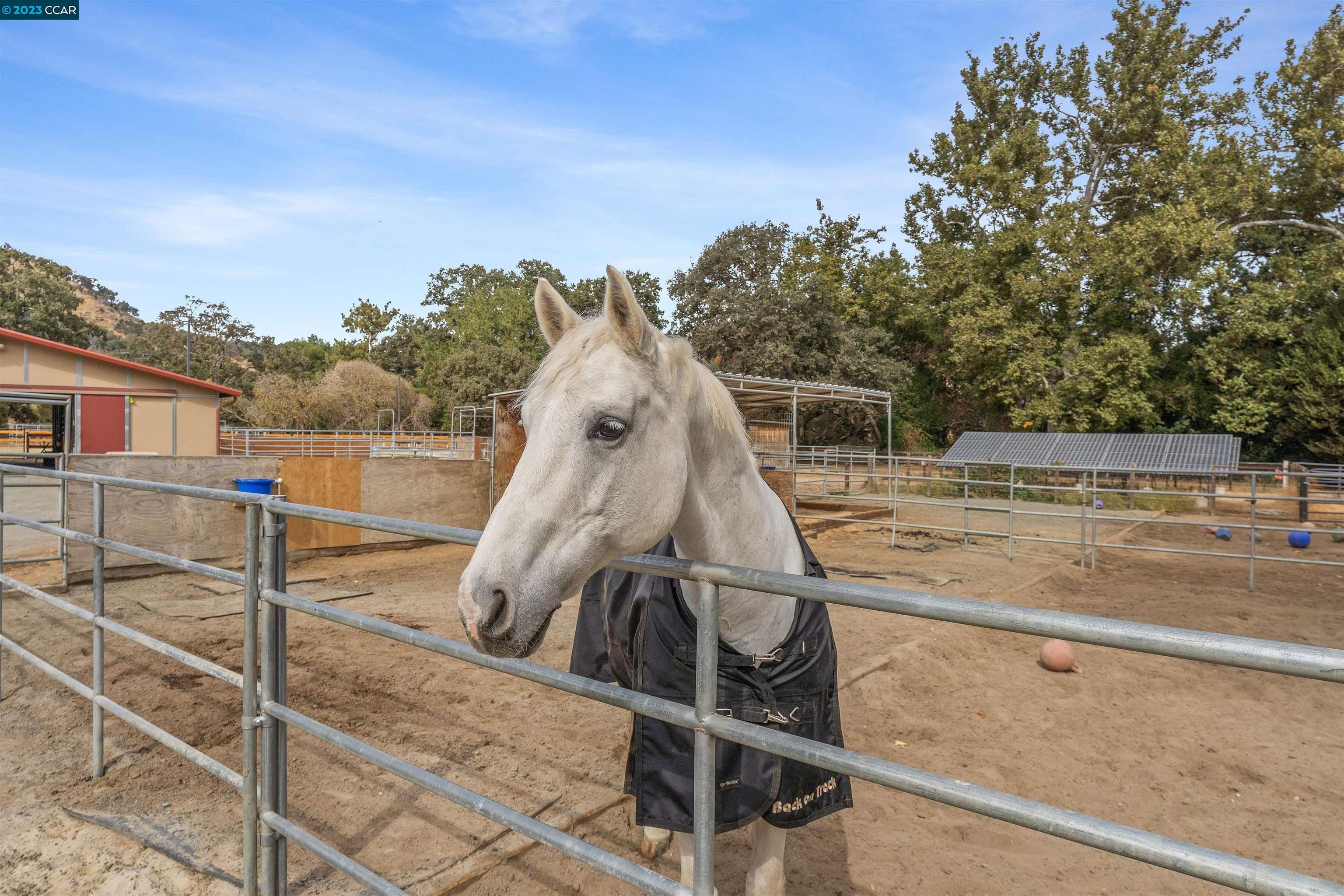 3133 Morgan Territory Rd