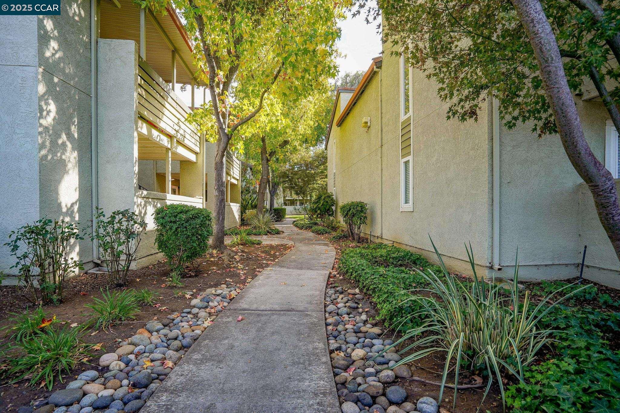 1505 Kirker Pass Rd # 231