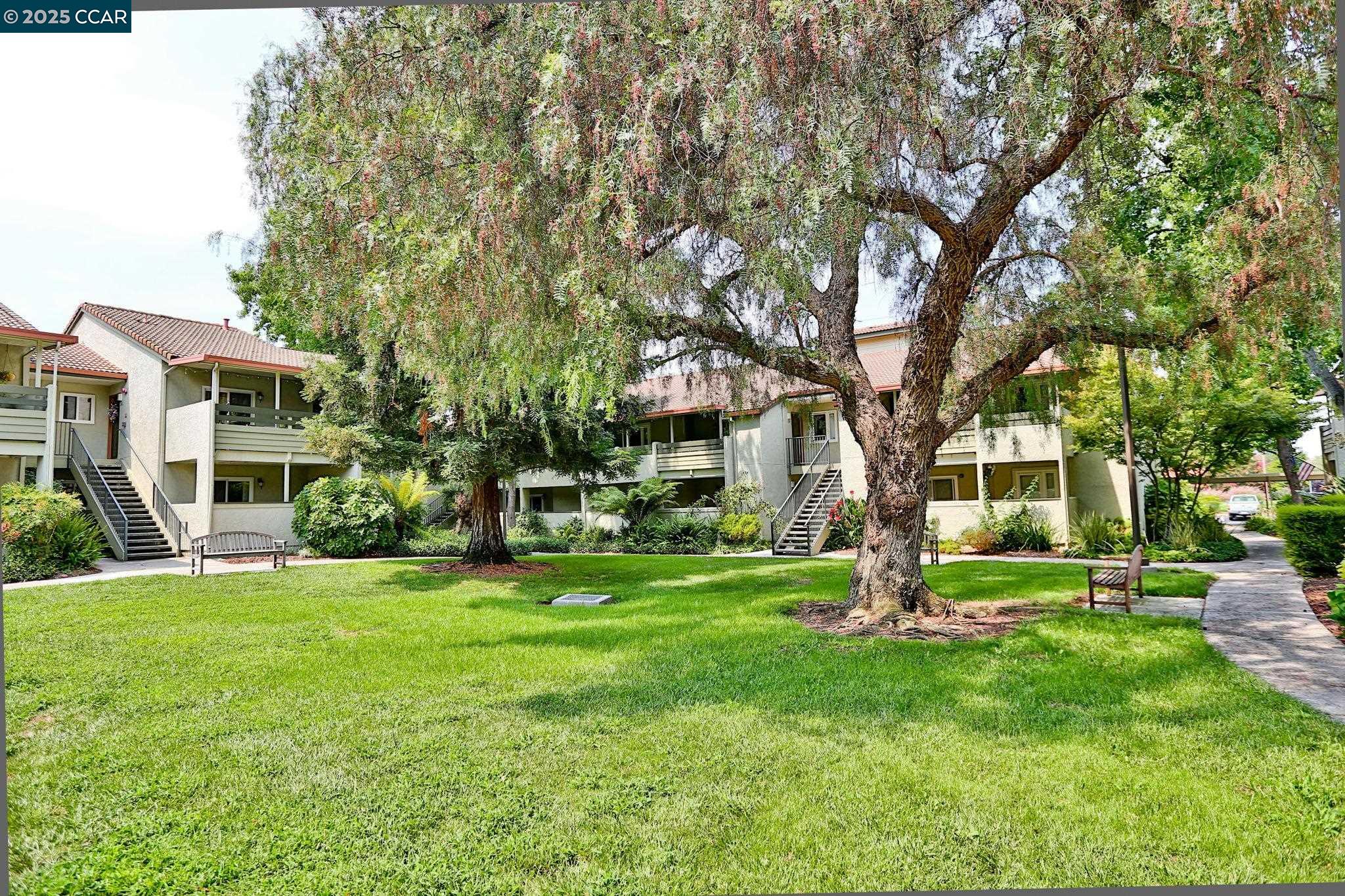 1505 Kirker Pass Rd # 231