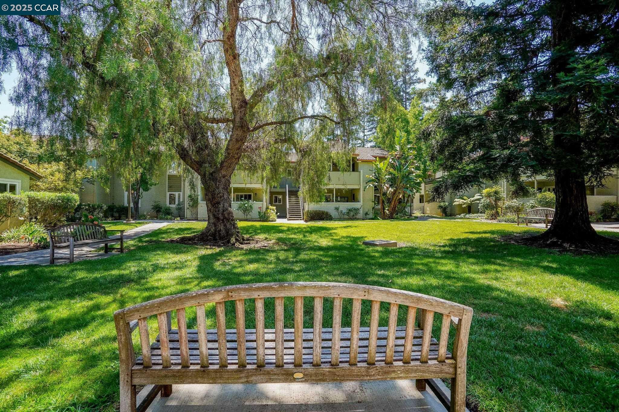 1505 Kirker Pass Rd # 231