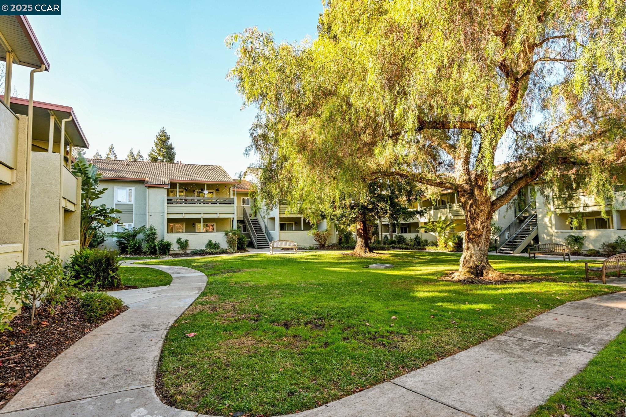 1505 Kirker Pass Rd # 231