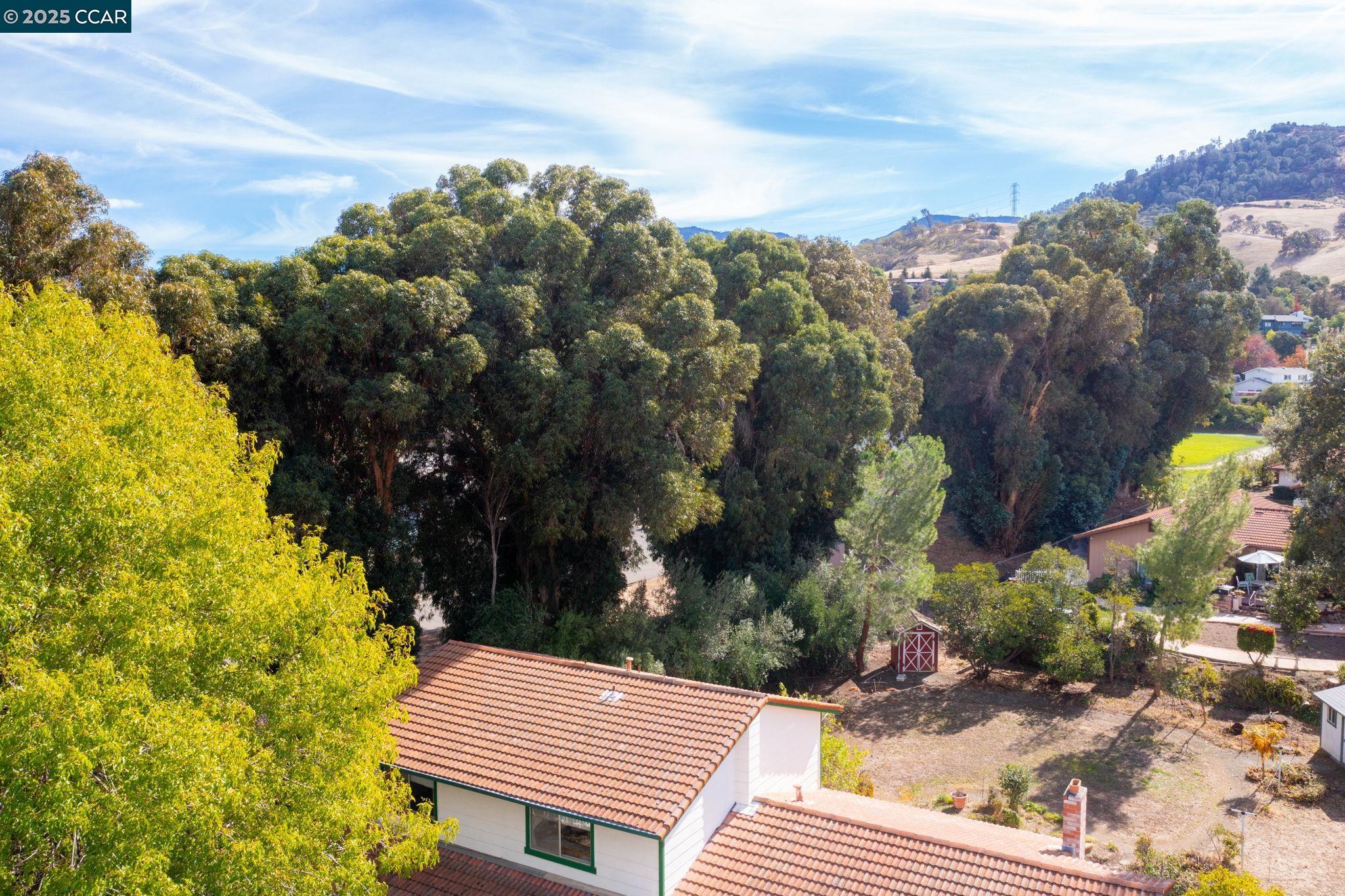 1239 Krona Ln