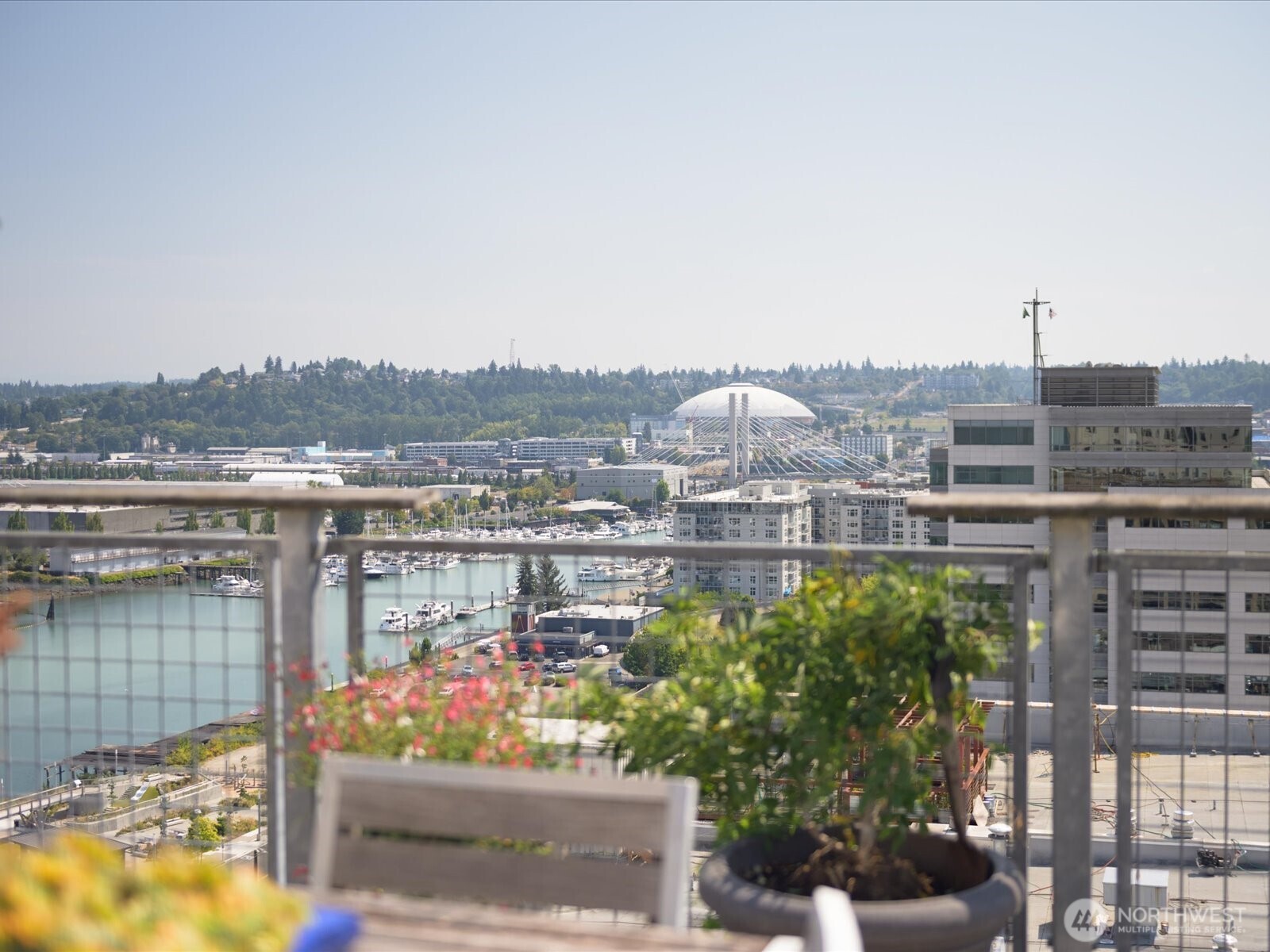 1101 A Street Unit: 806