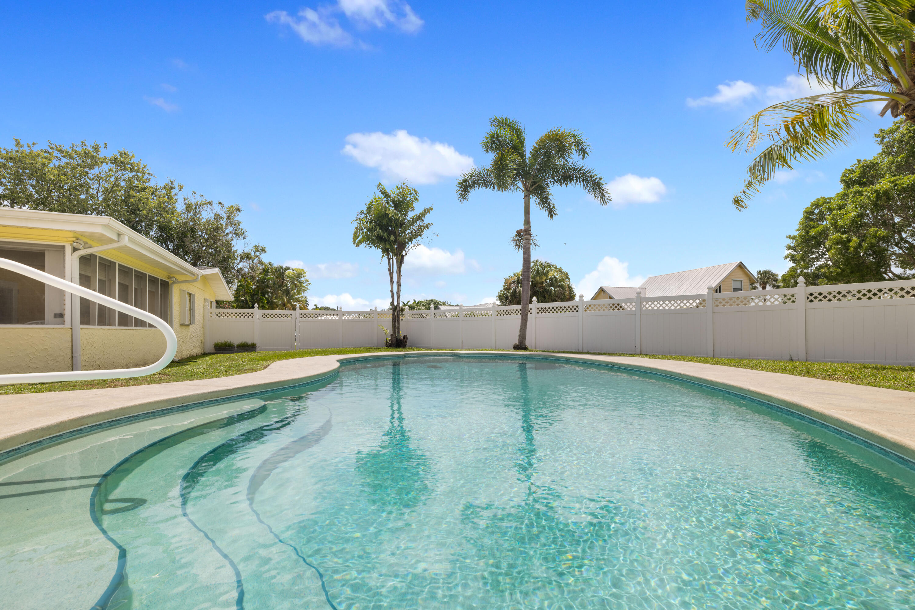 Backyard pool with curved steps, white privacy fence, palm trees, and a yellow house.