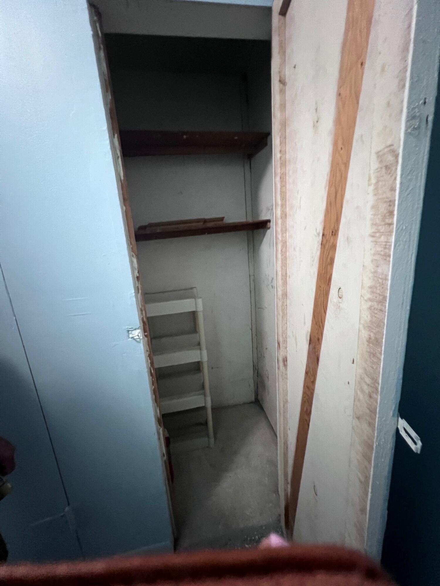 Narrow storage closet with wooden shelves, a leaning ladder, and exposed doorway framing.