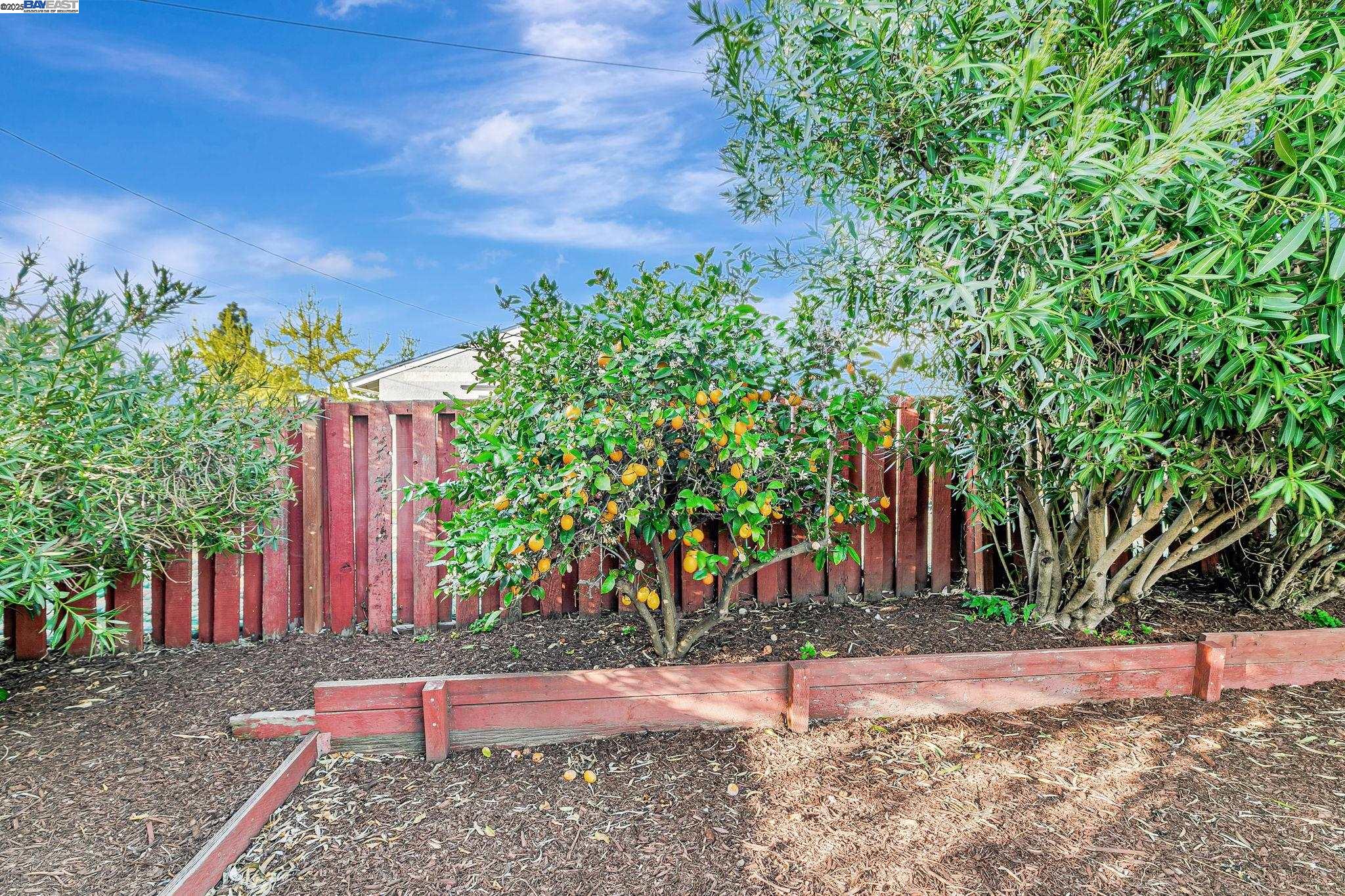 41506 Higgins Way