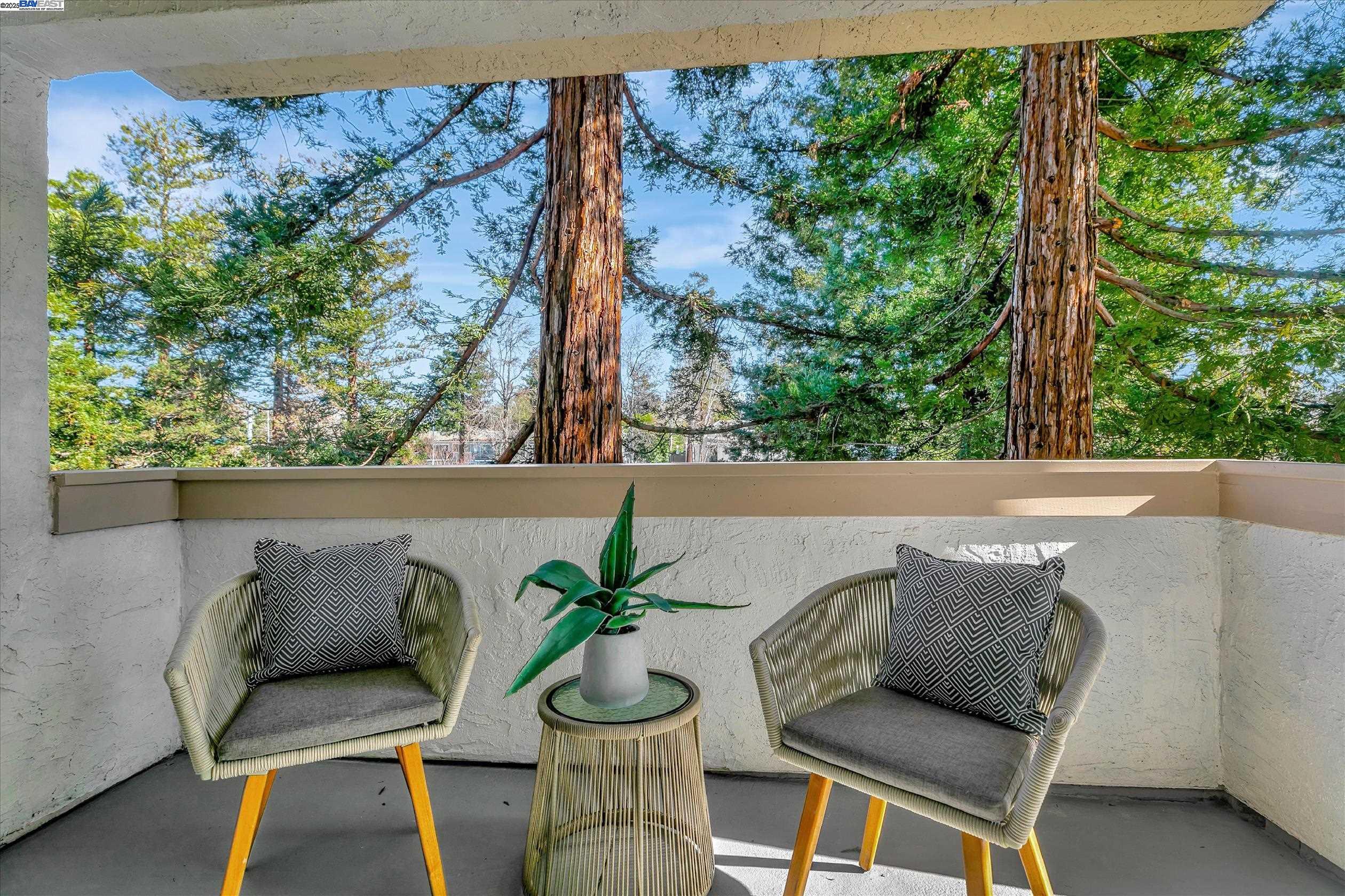 39993 Fremont Blvd Unit: 206