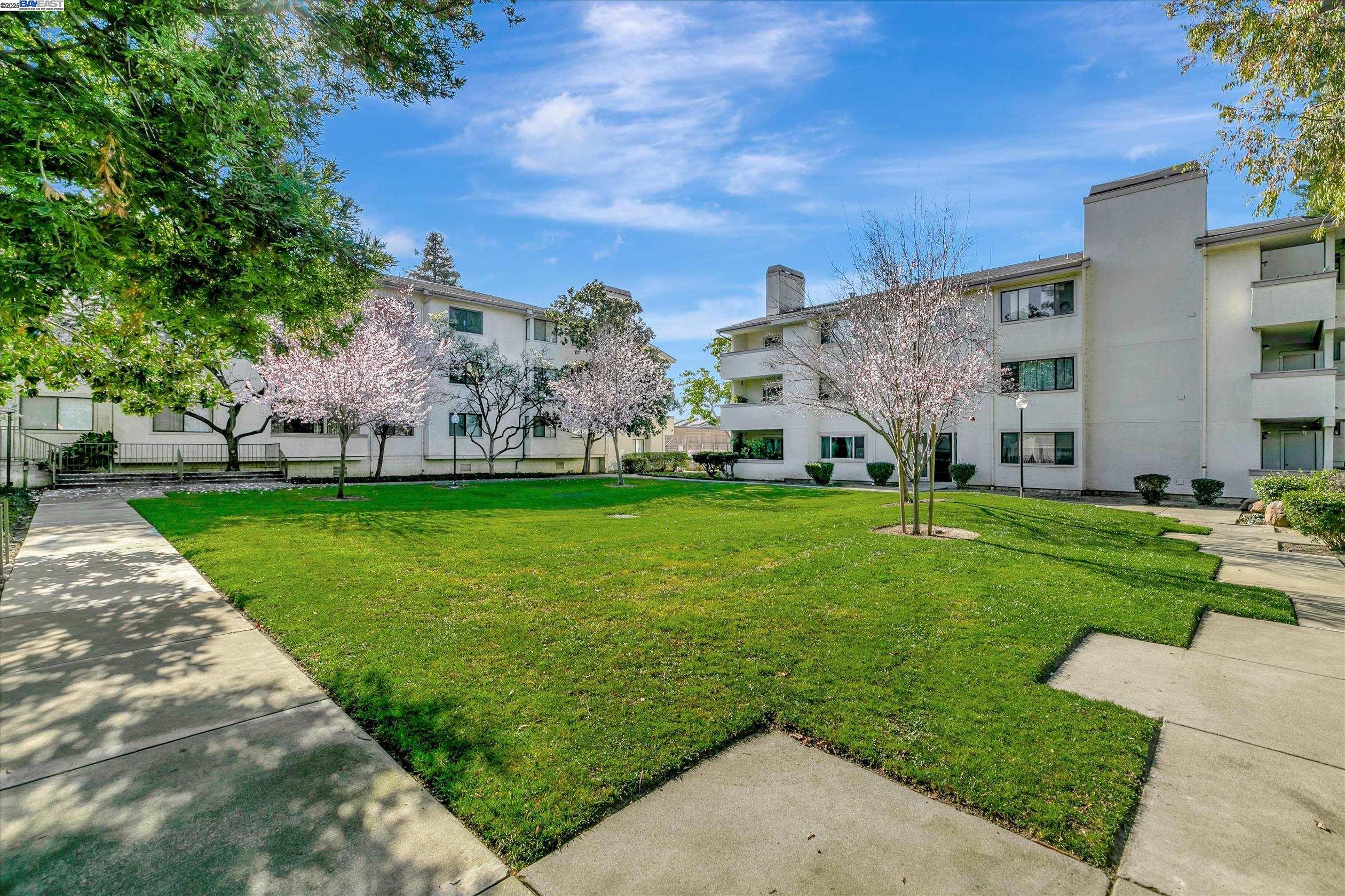 39993 Fremont Blvd Unit: 206