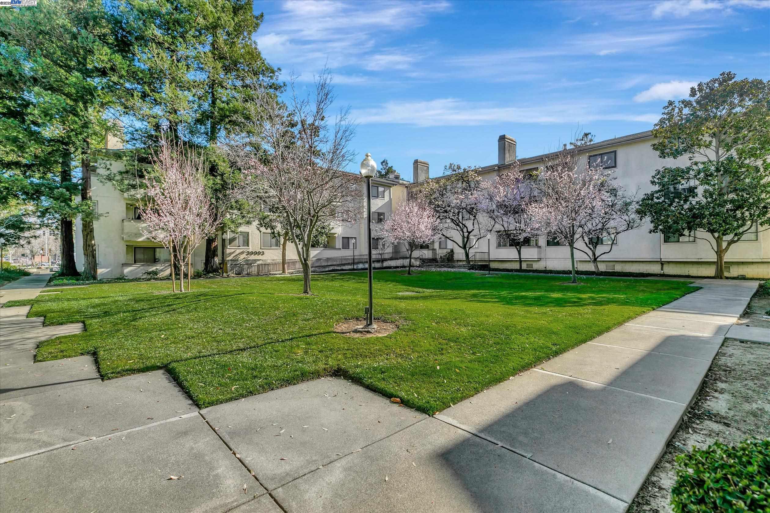39993 Fremont Blvd Unit: 206