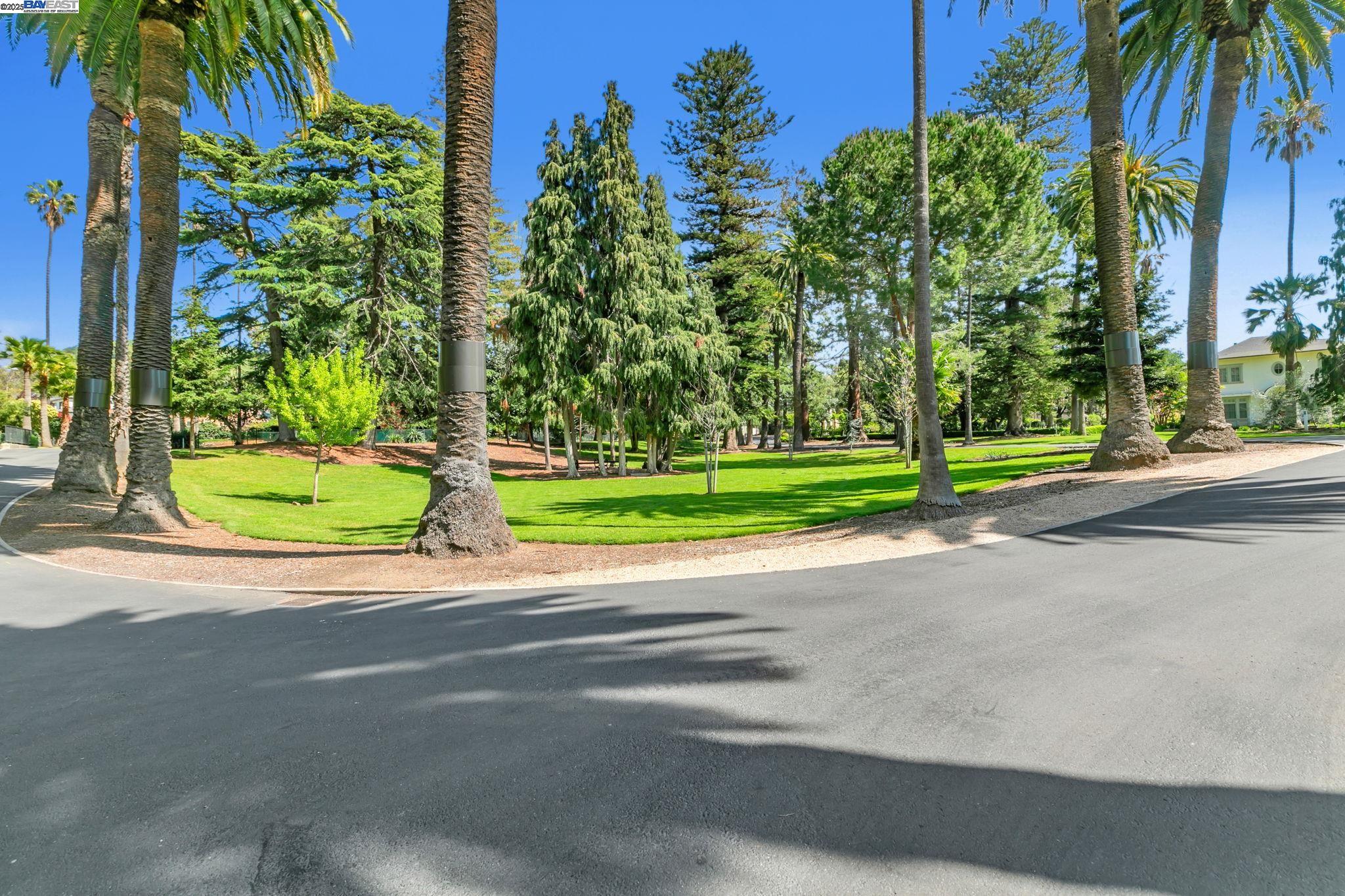 43148 Calle Sagrada