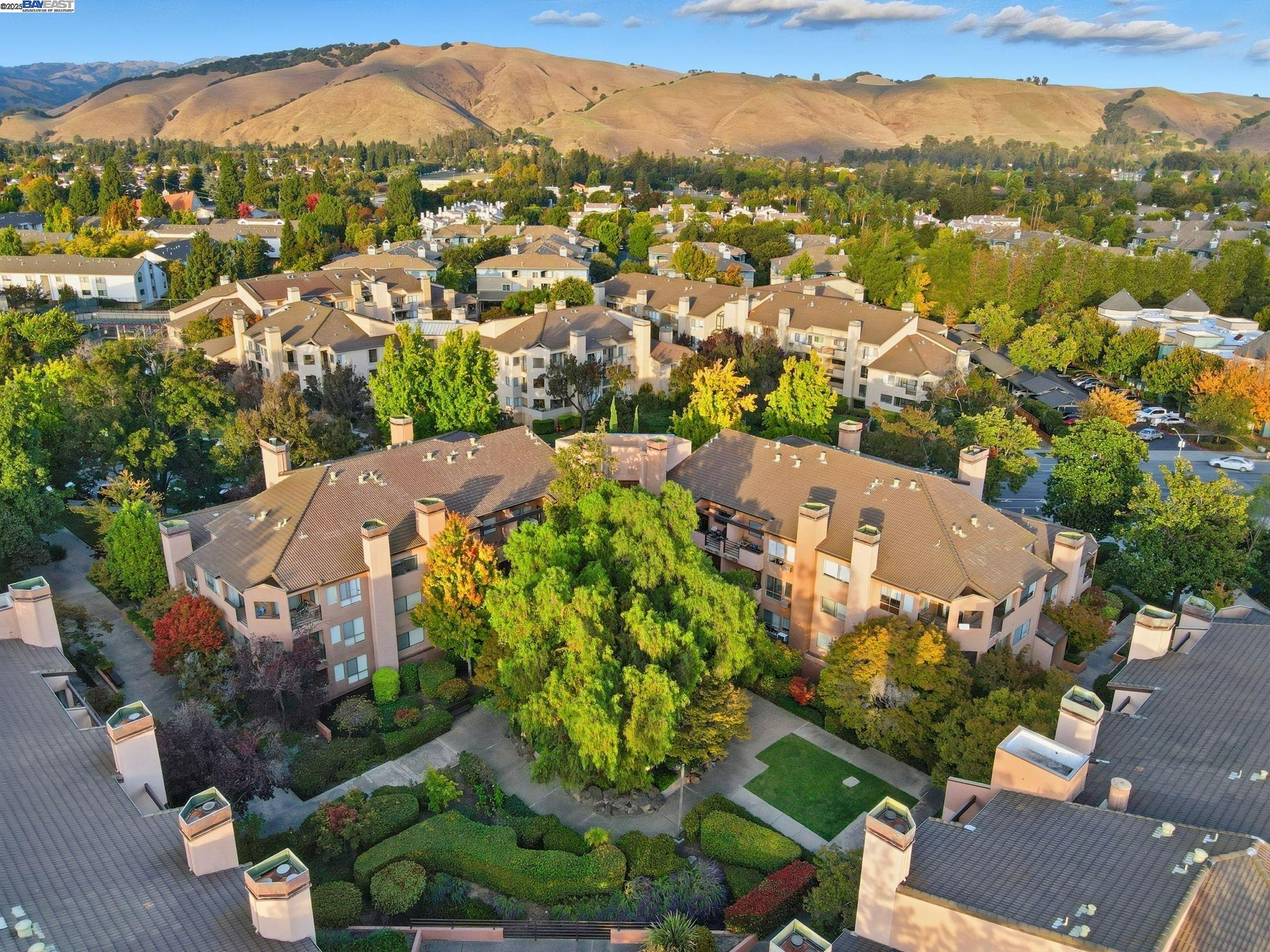 39199 Guardino Dr # 170