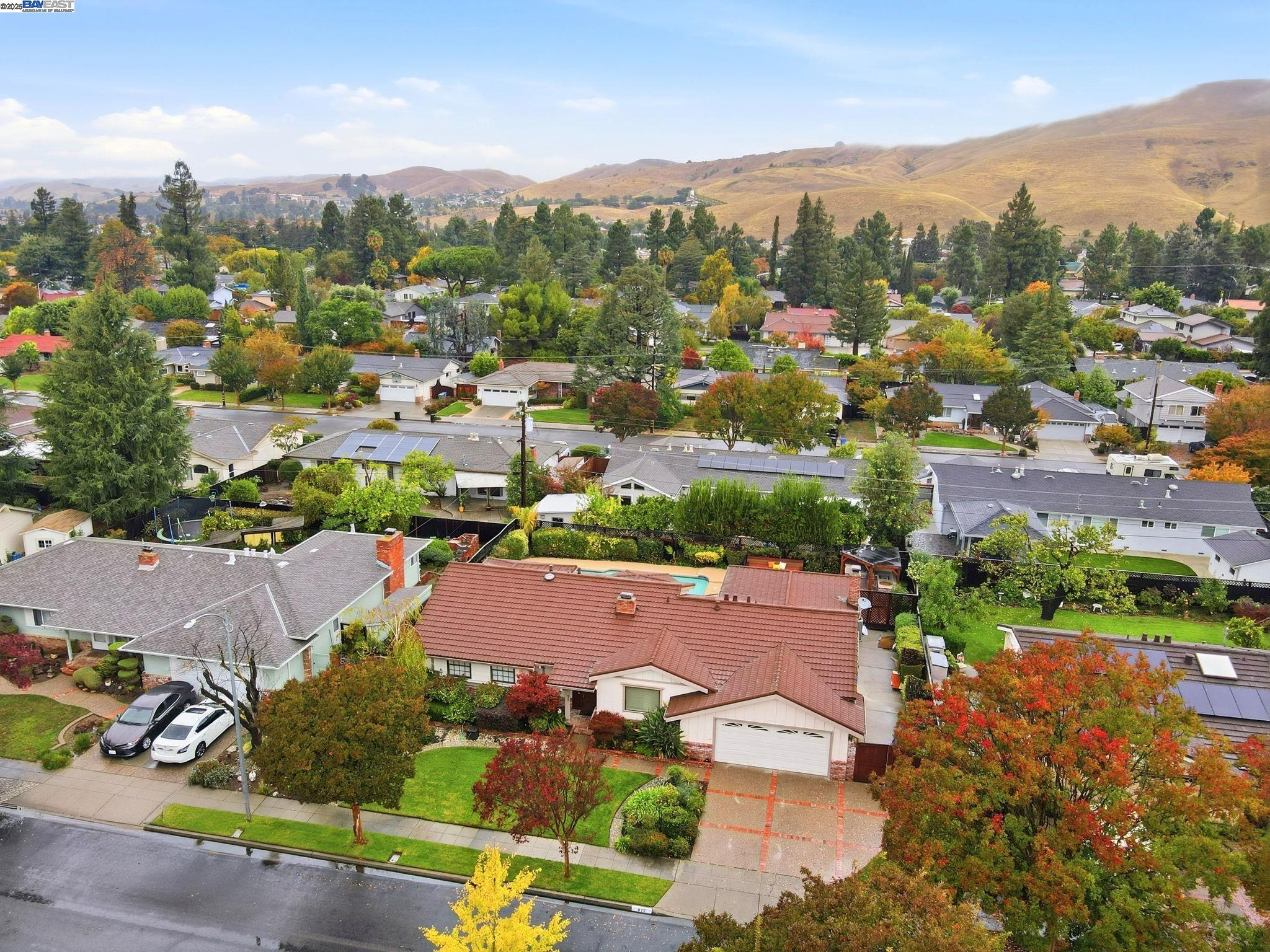 877 Cashew Way