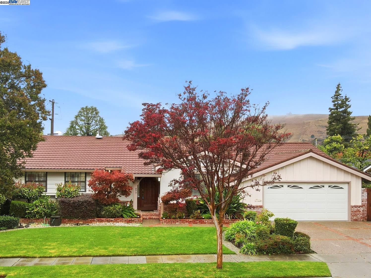 877 Cashew Way