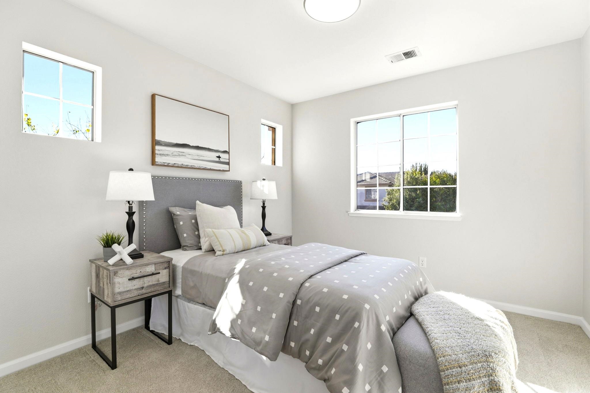 37521 Summer Holly Cmn