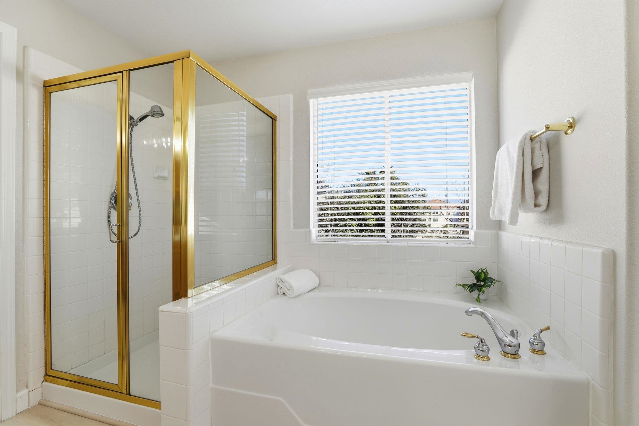 37521 Summer Holly Cmn