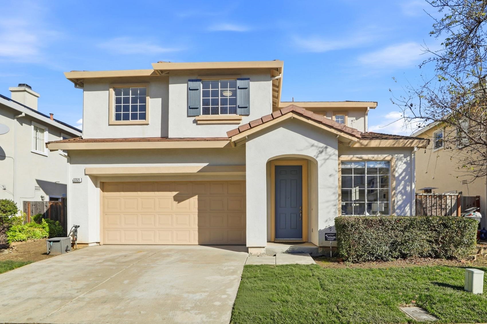 37521 Summer Holly Cmn