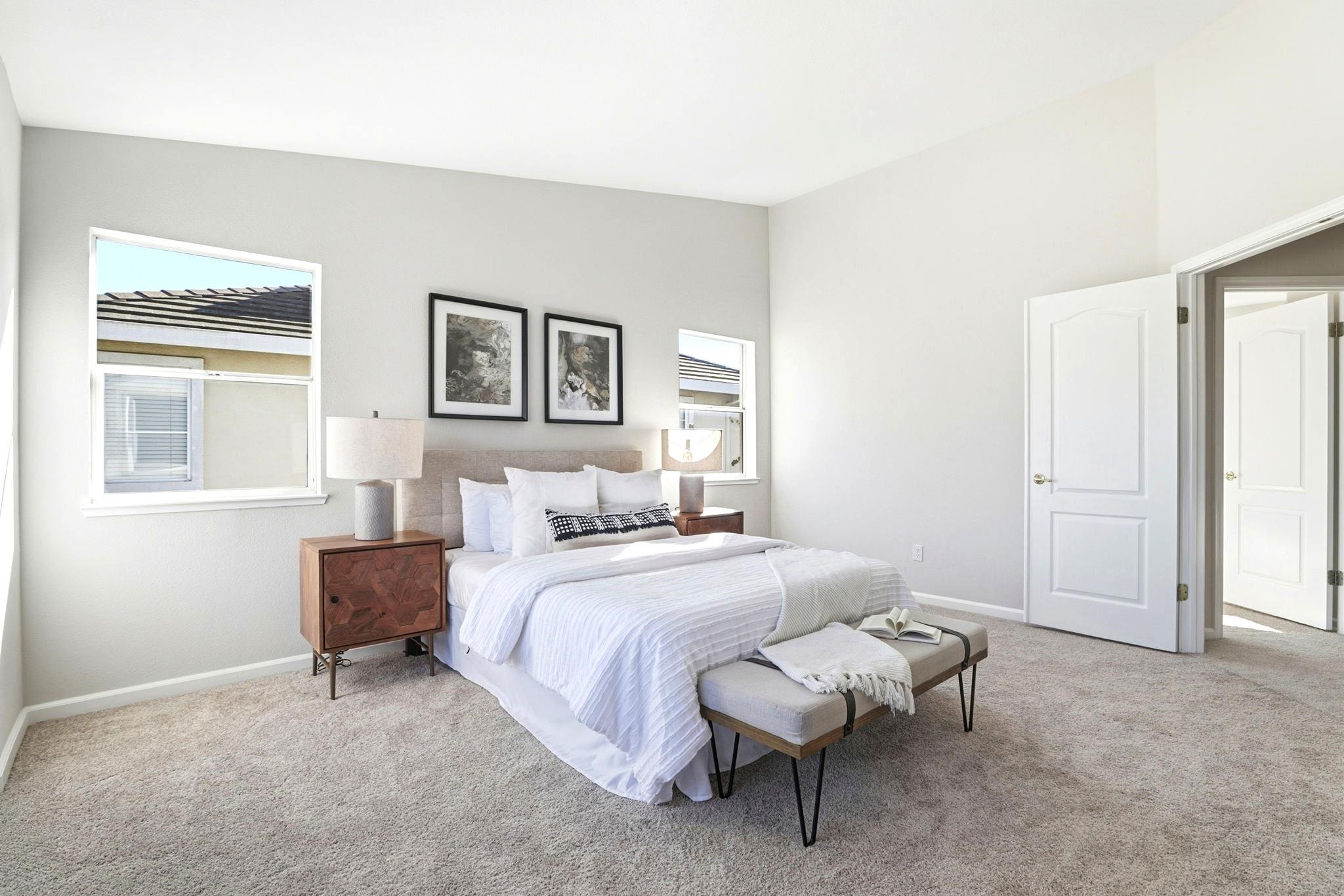 37521 Summer Holly Cmn