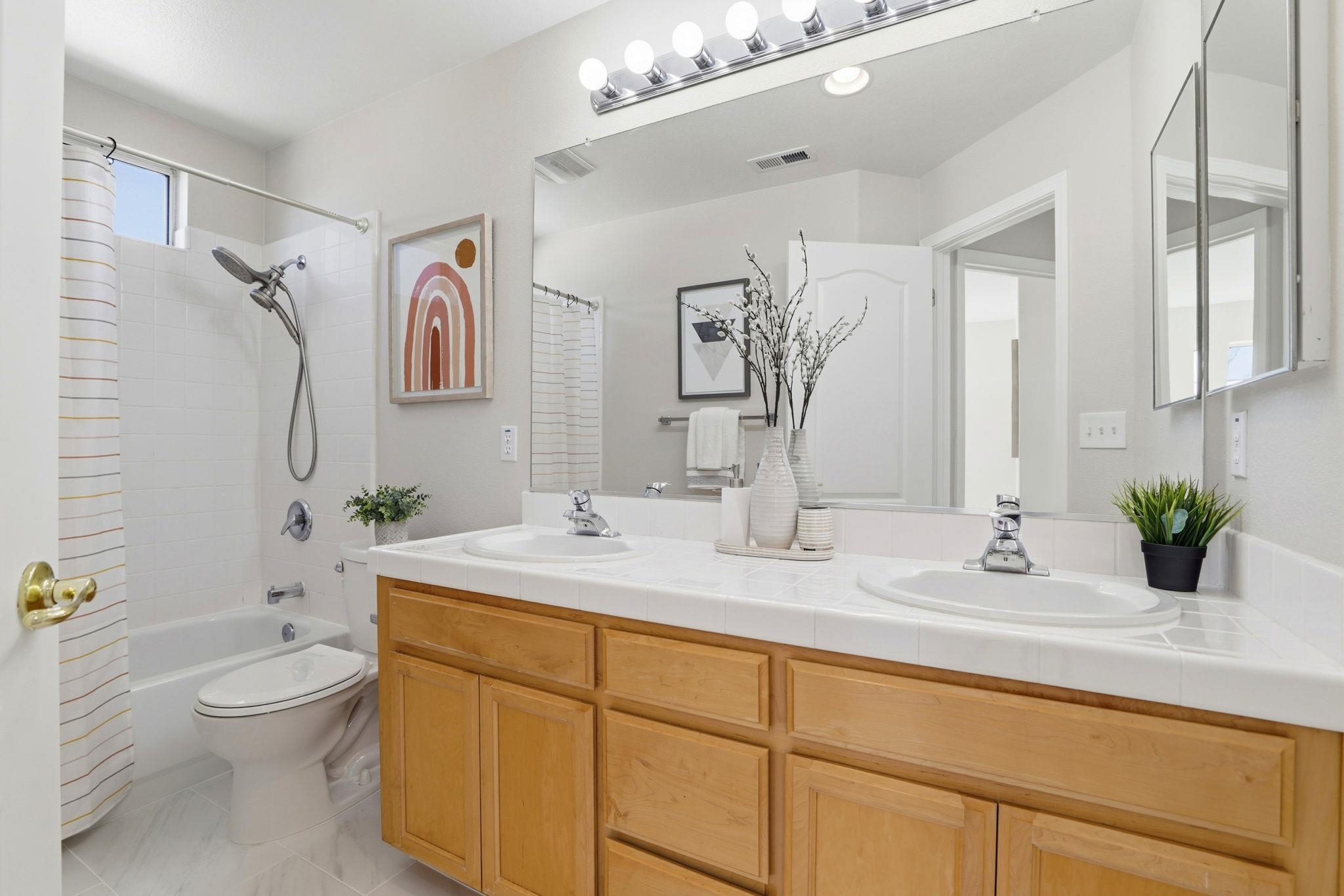 37521 Summer Holly Cmn