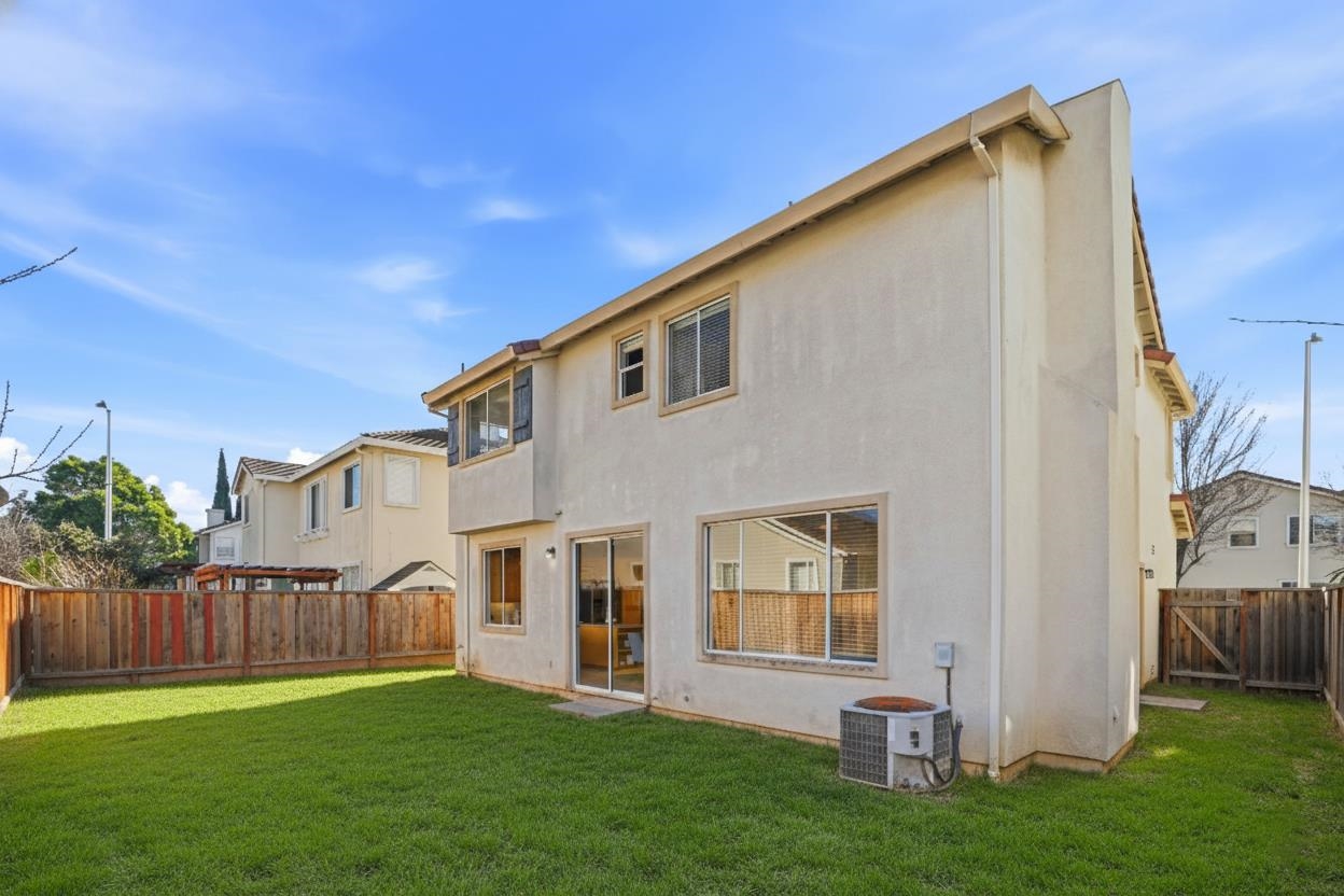 37521 Summer Holly Cmn