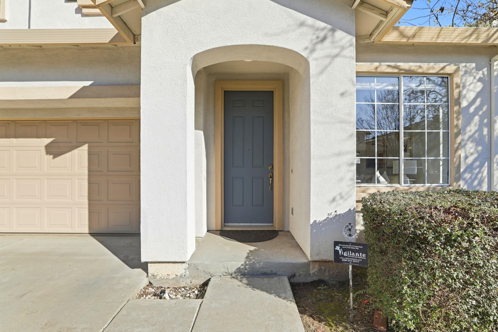 37521 Summer Holly Cmn