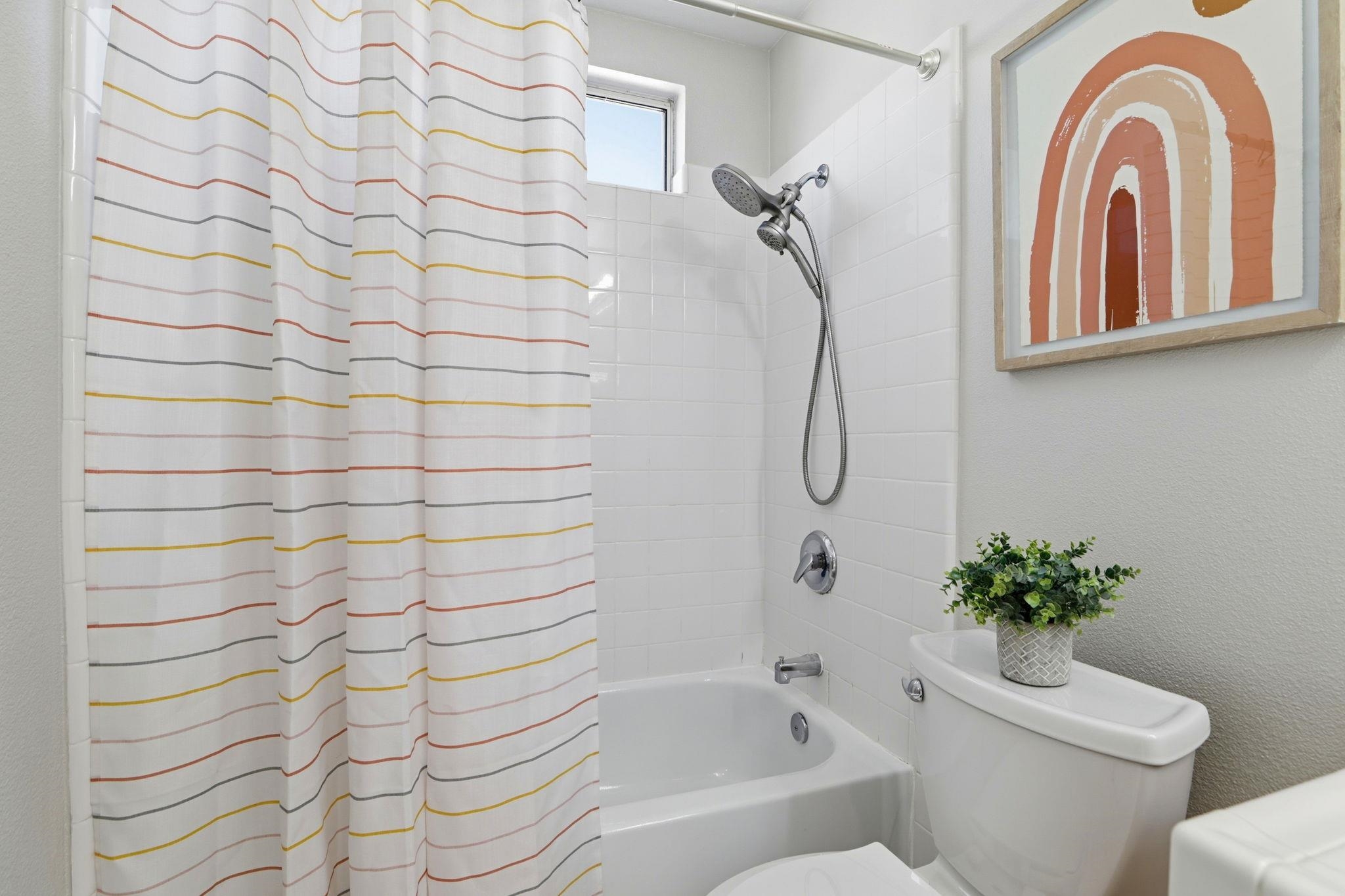 37521 Summer Holly Cmn