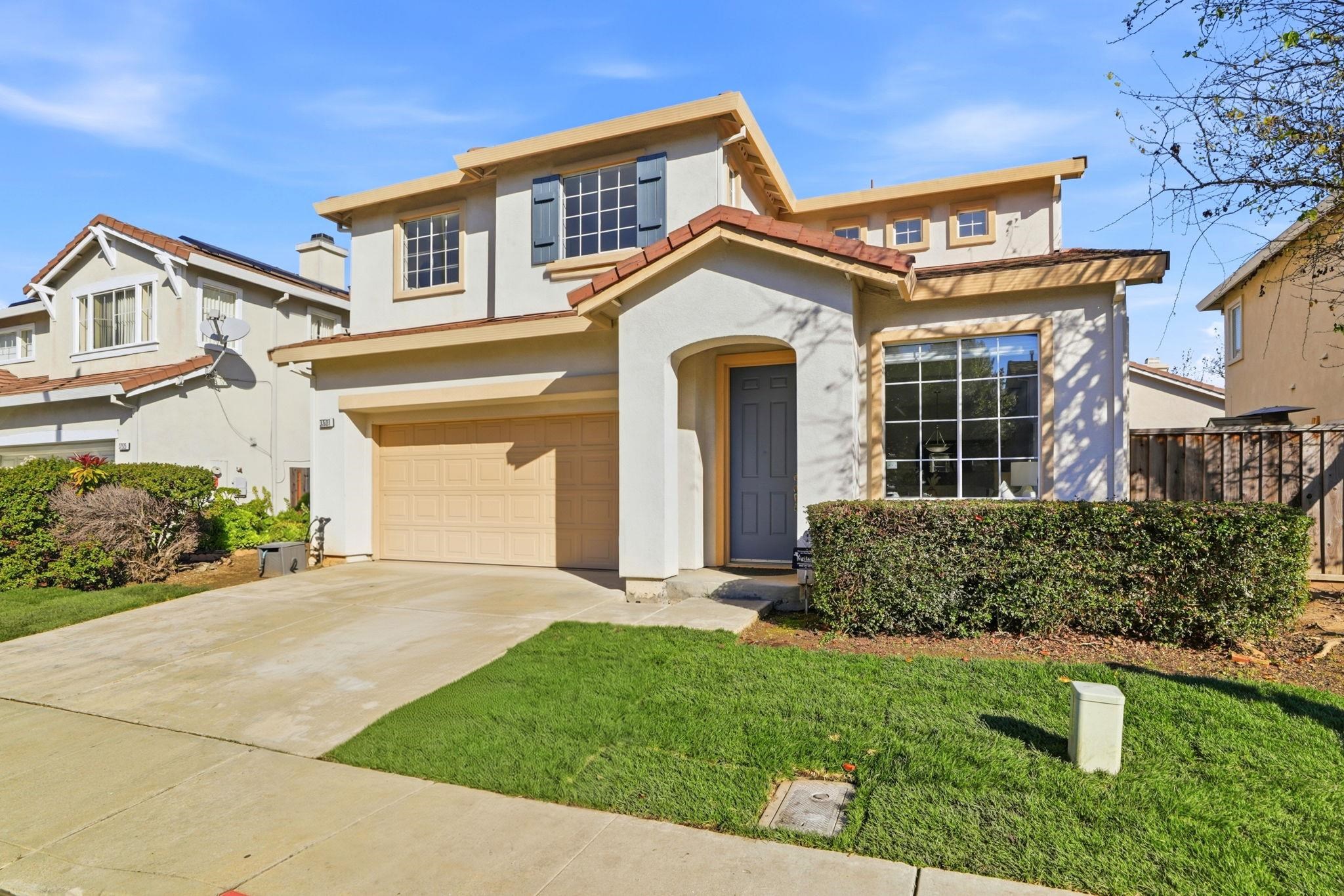 37521 Summer Holly Cmn