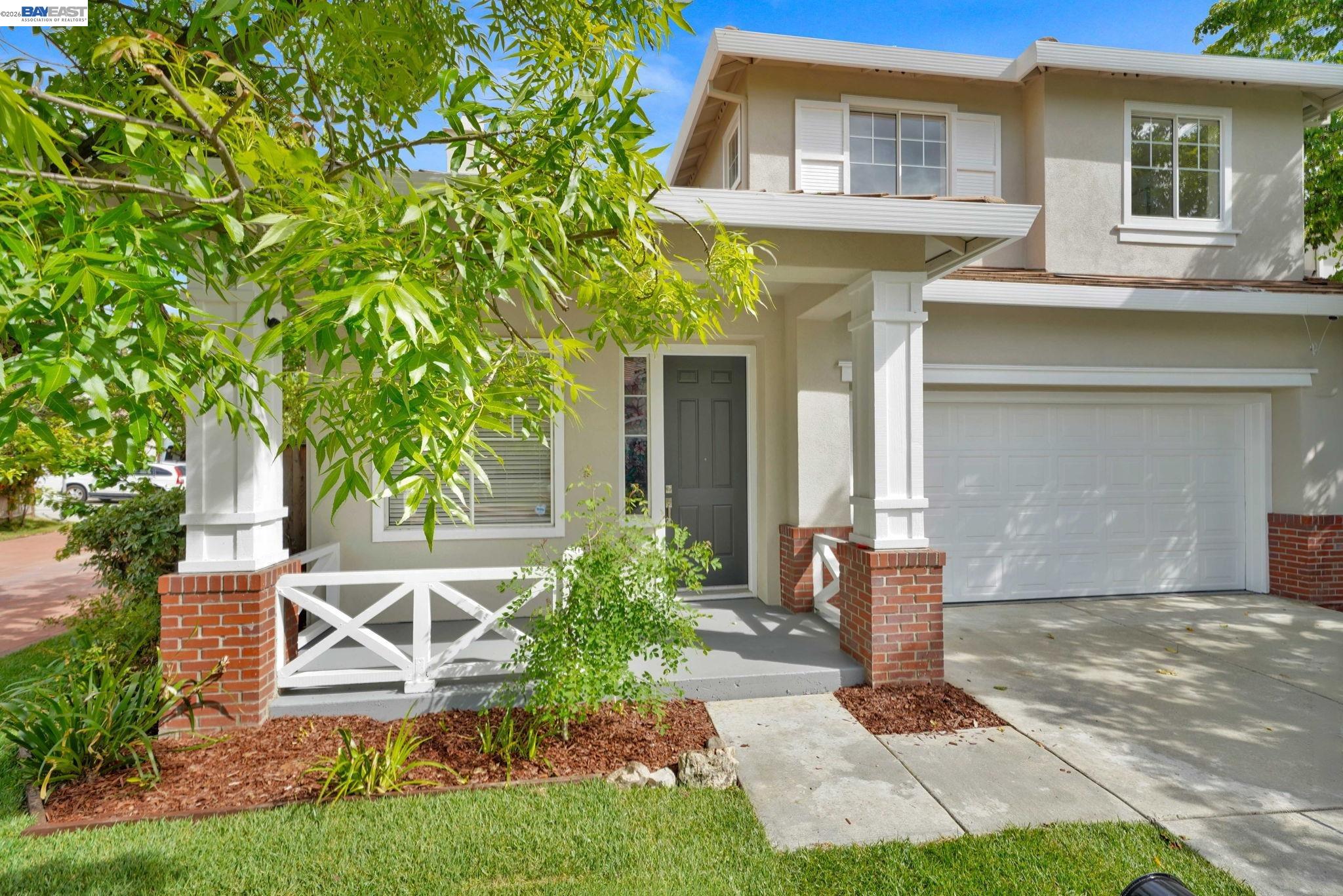 37489 Summer Holly Cmn