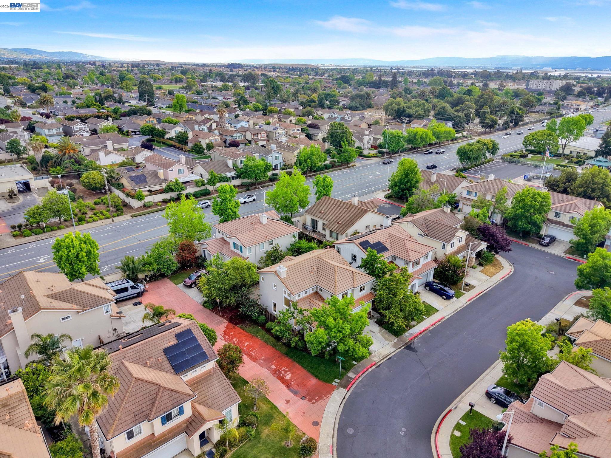 37489 Summer Holly Cmn