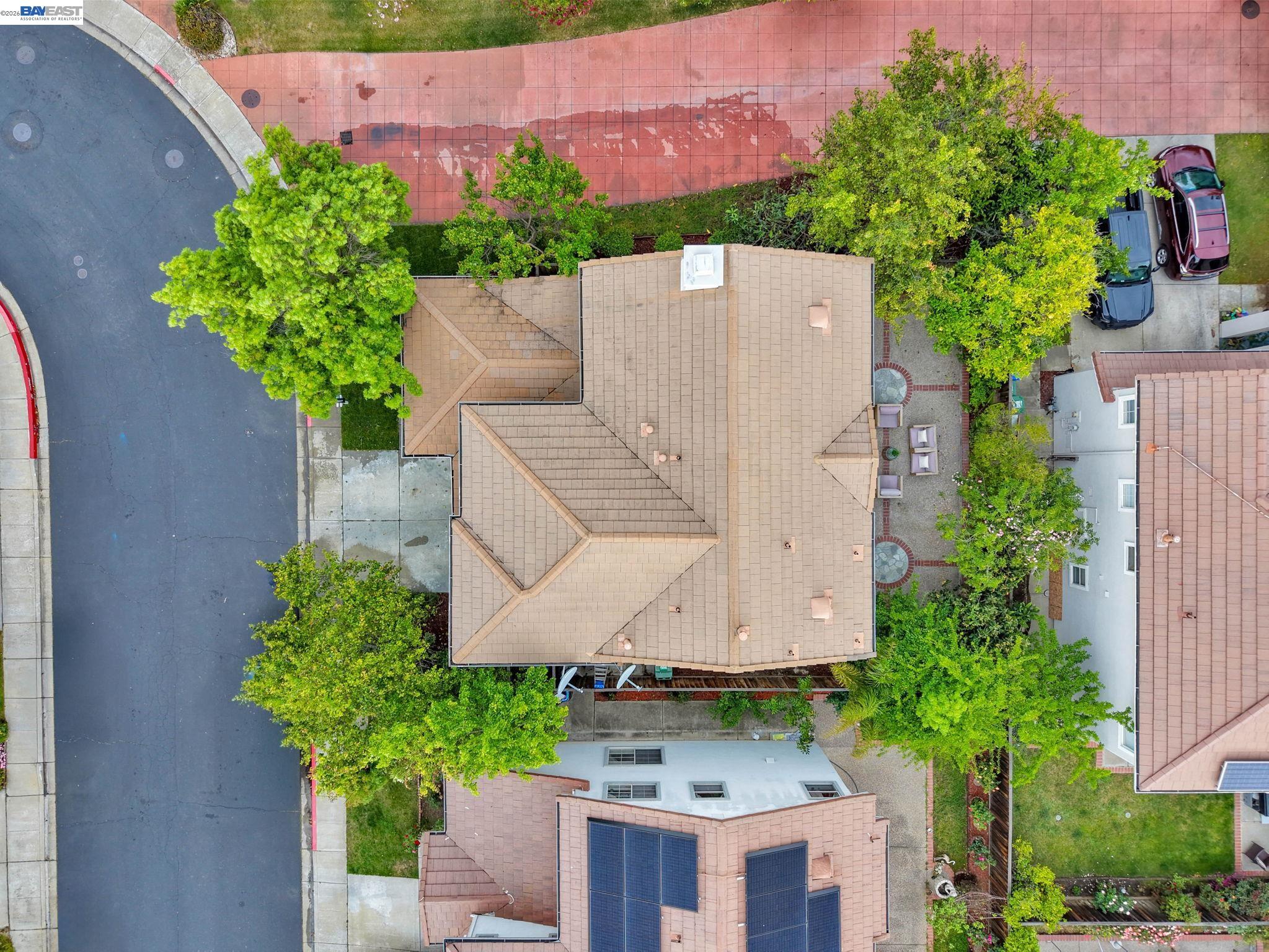 37489 Summer Holly Cmn