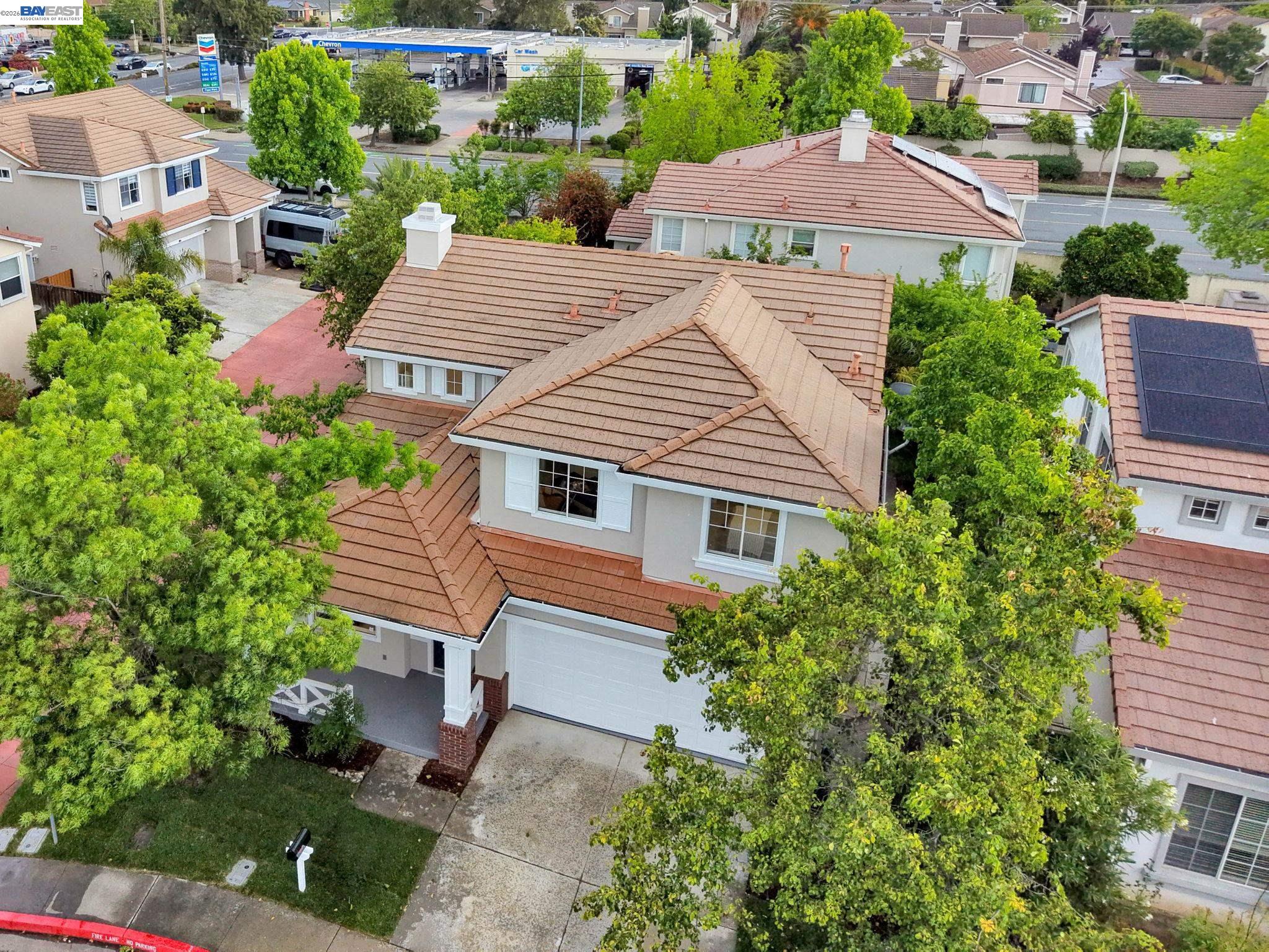 37489 Summer Holly Cmn