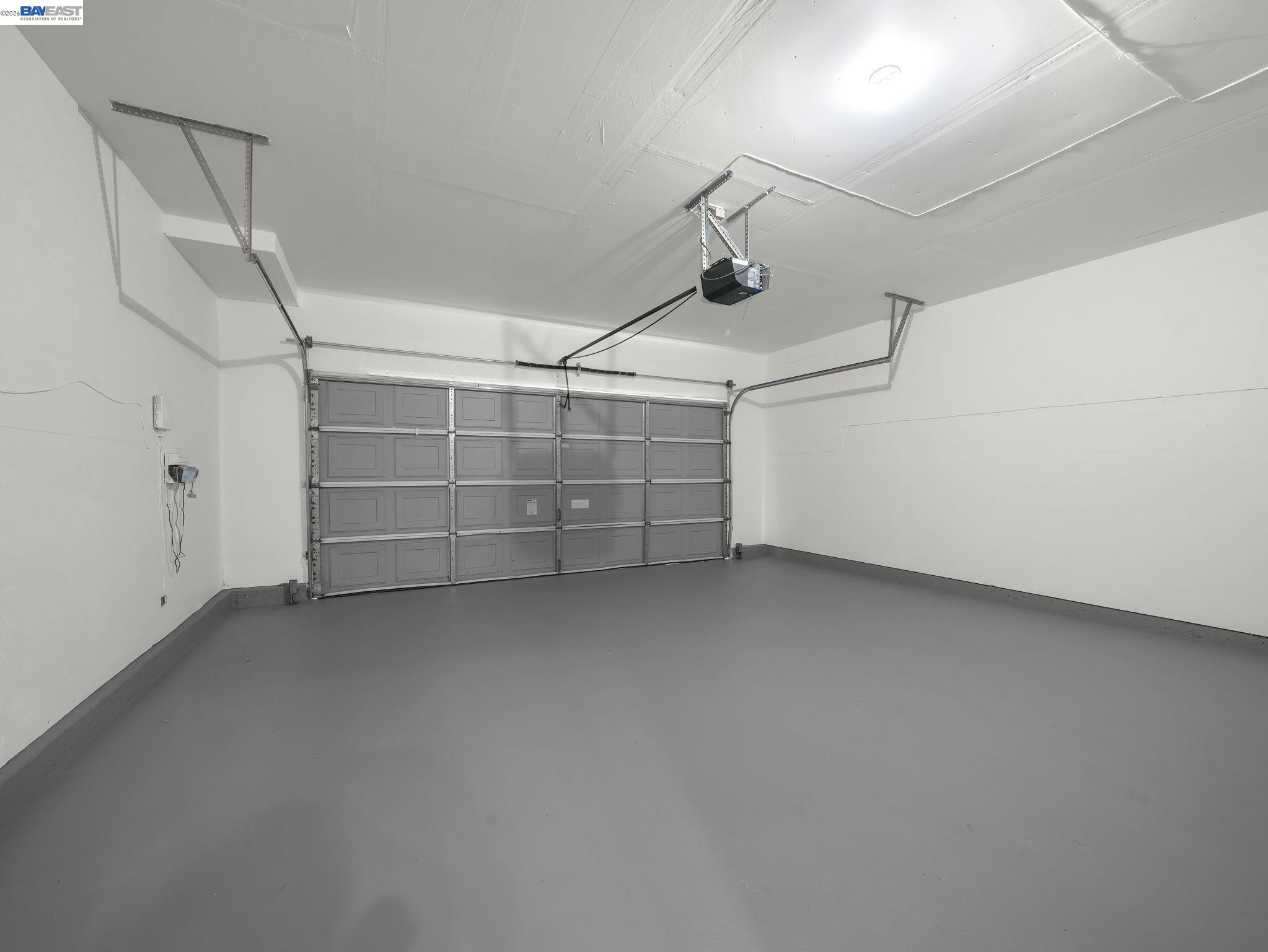 37489 Summer Holly Cmn