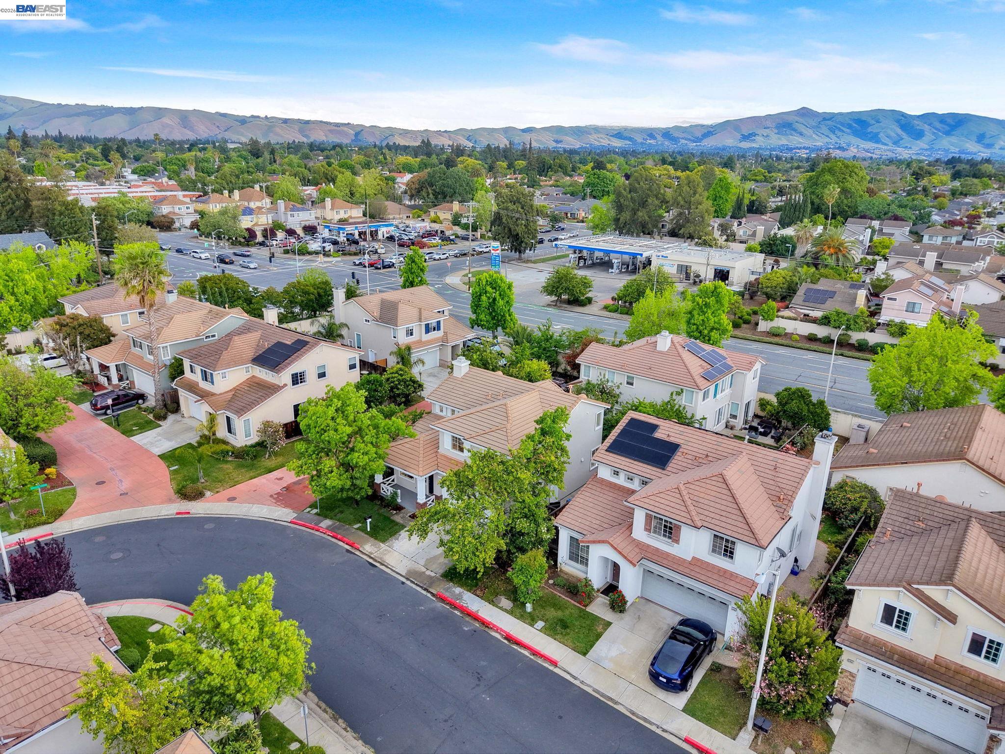 37489 Summer Holly Cmn