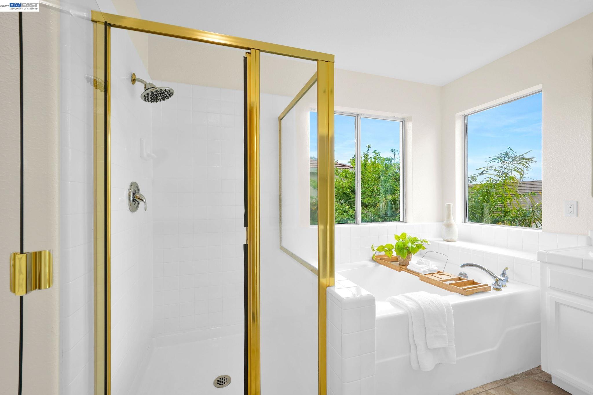 37489 Summer Holly Cmn