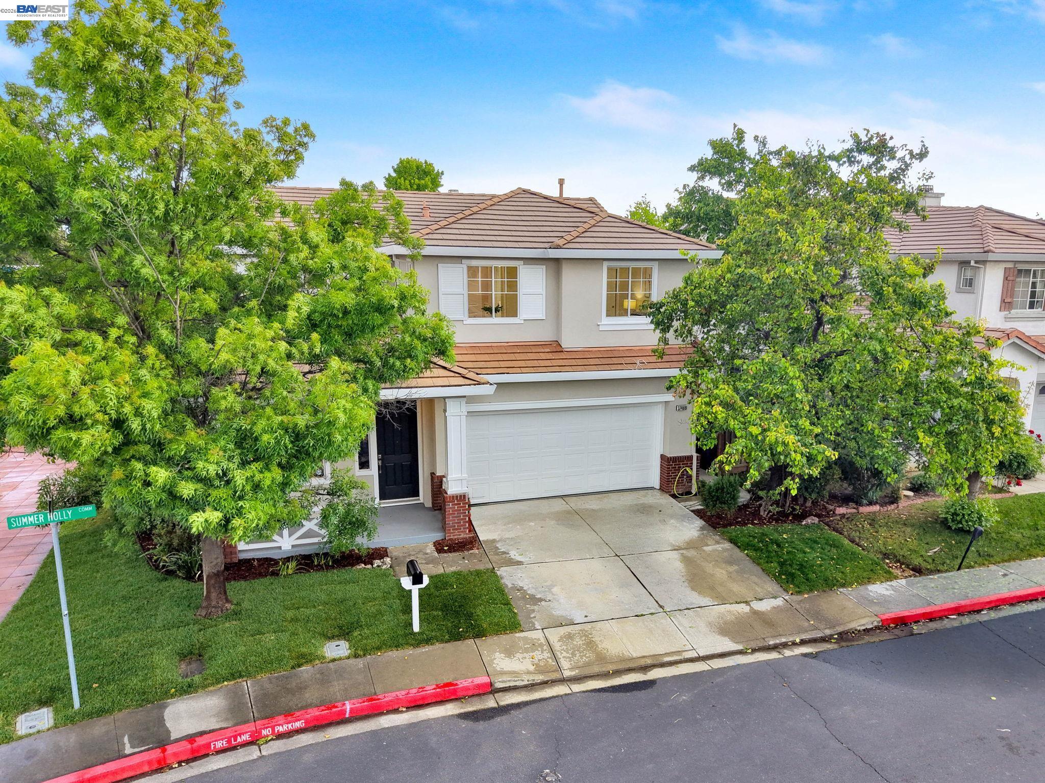 37489 Summer Holly Cmn