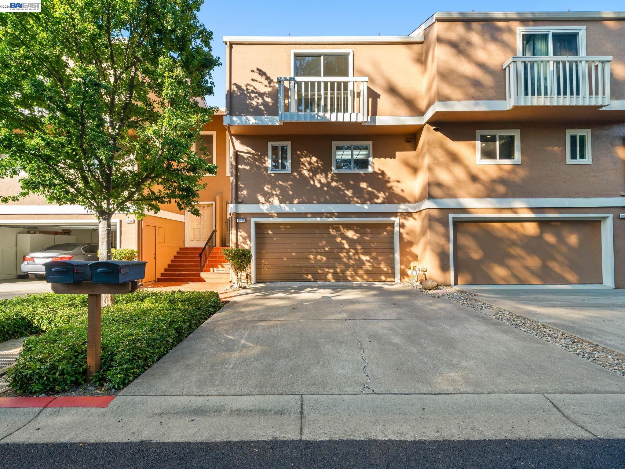 37886 Bright Cmn