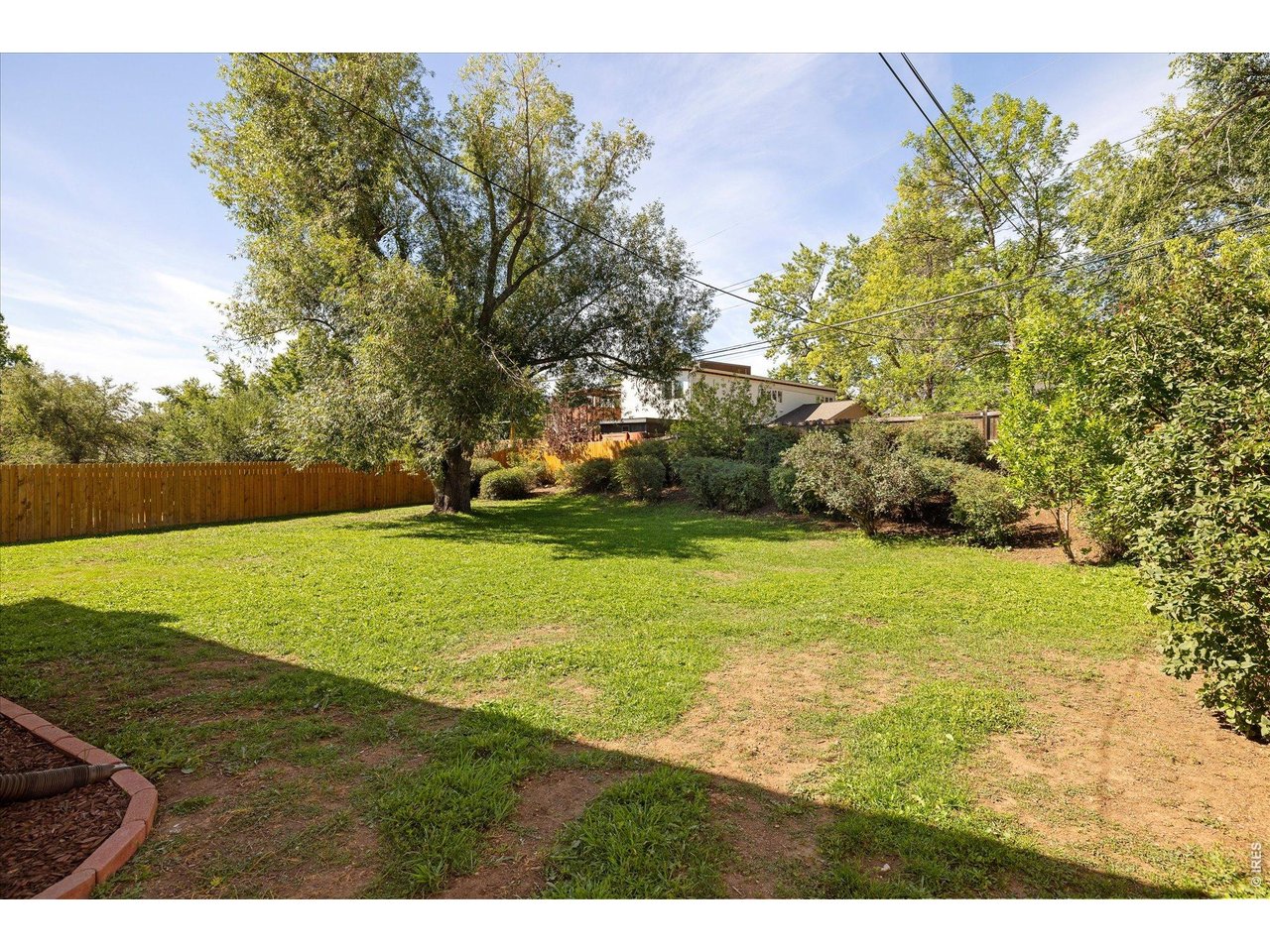 Backyard with a broad lawn, mature tree, shrubs, and wooden privacy fence.