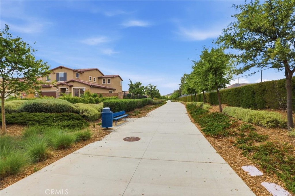 29259 Alamitos