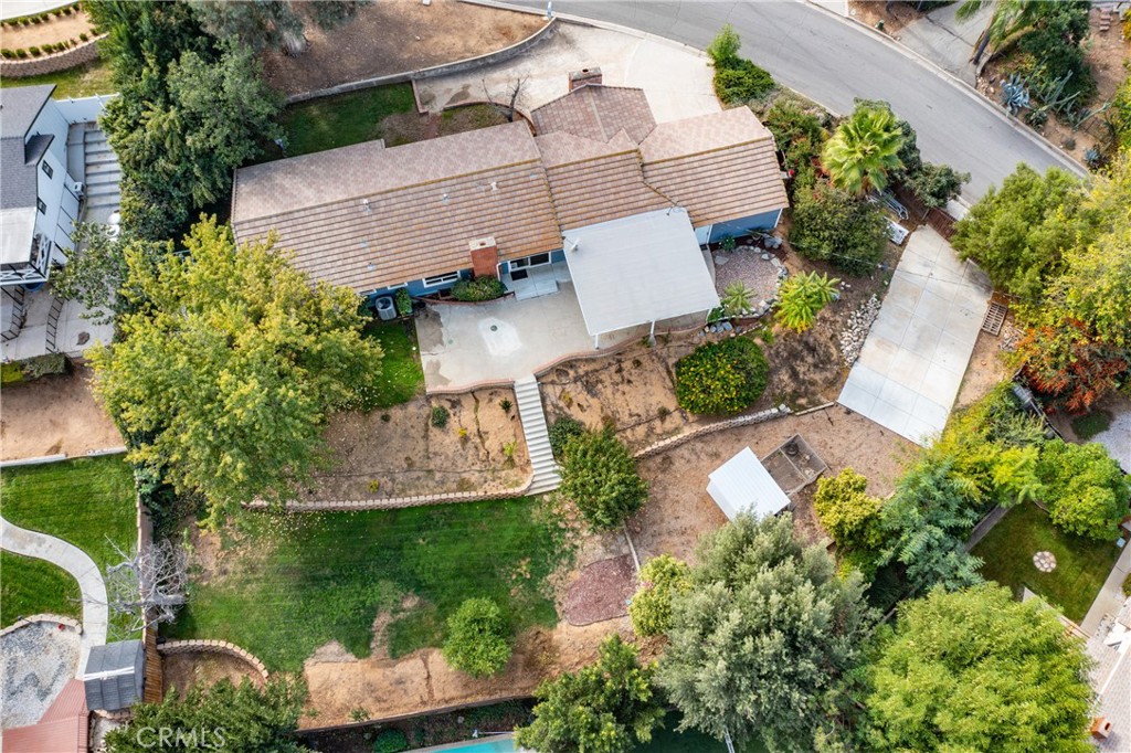 1427 Elizabeth Crest