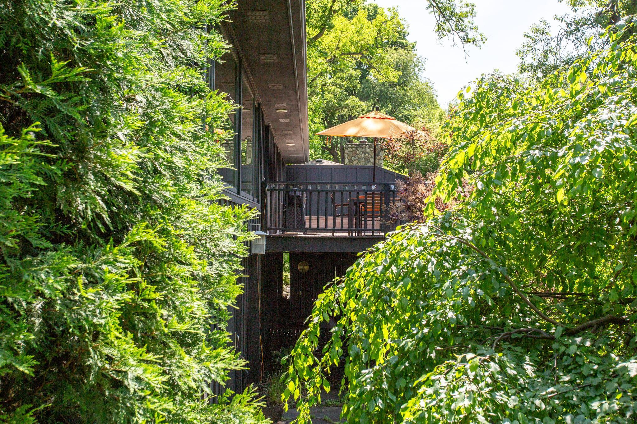 24295 Wood Drive