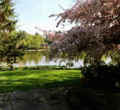 24295 Wood Drive