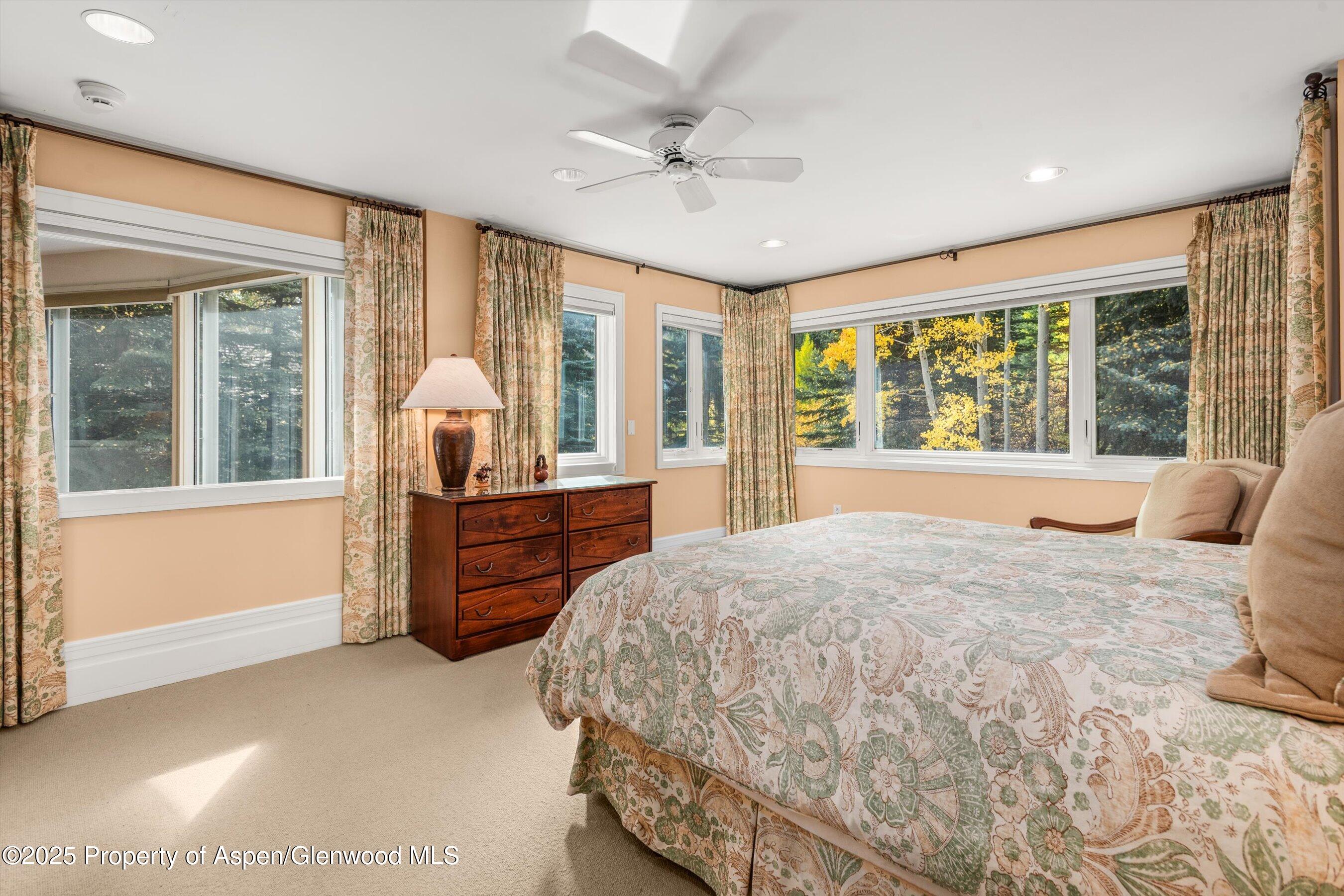 431 W Hopkins Avenue, Aspen