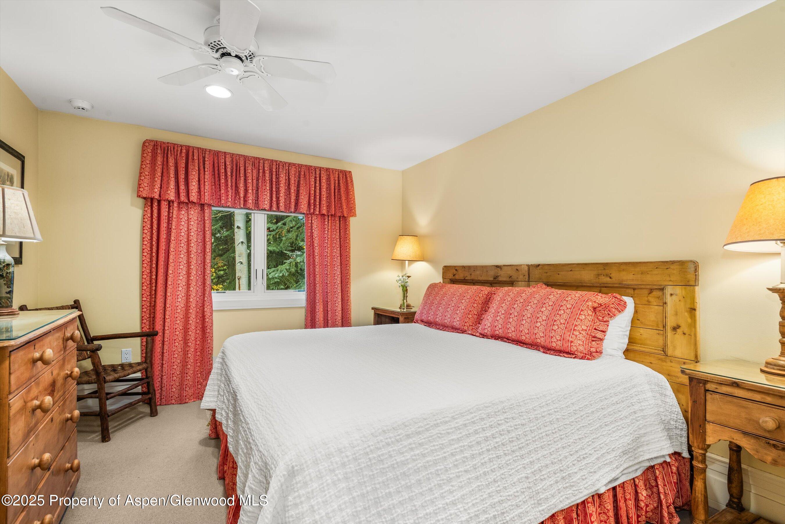 431 W Hopkins Avenue, Aspen