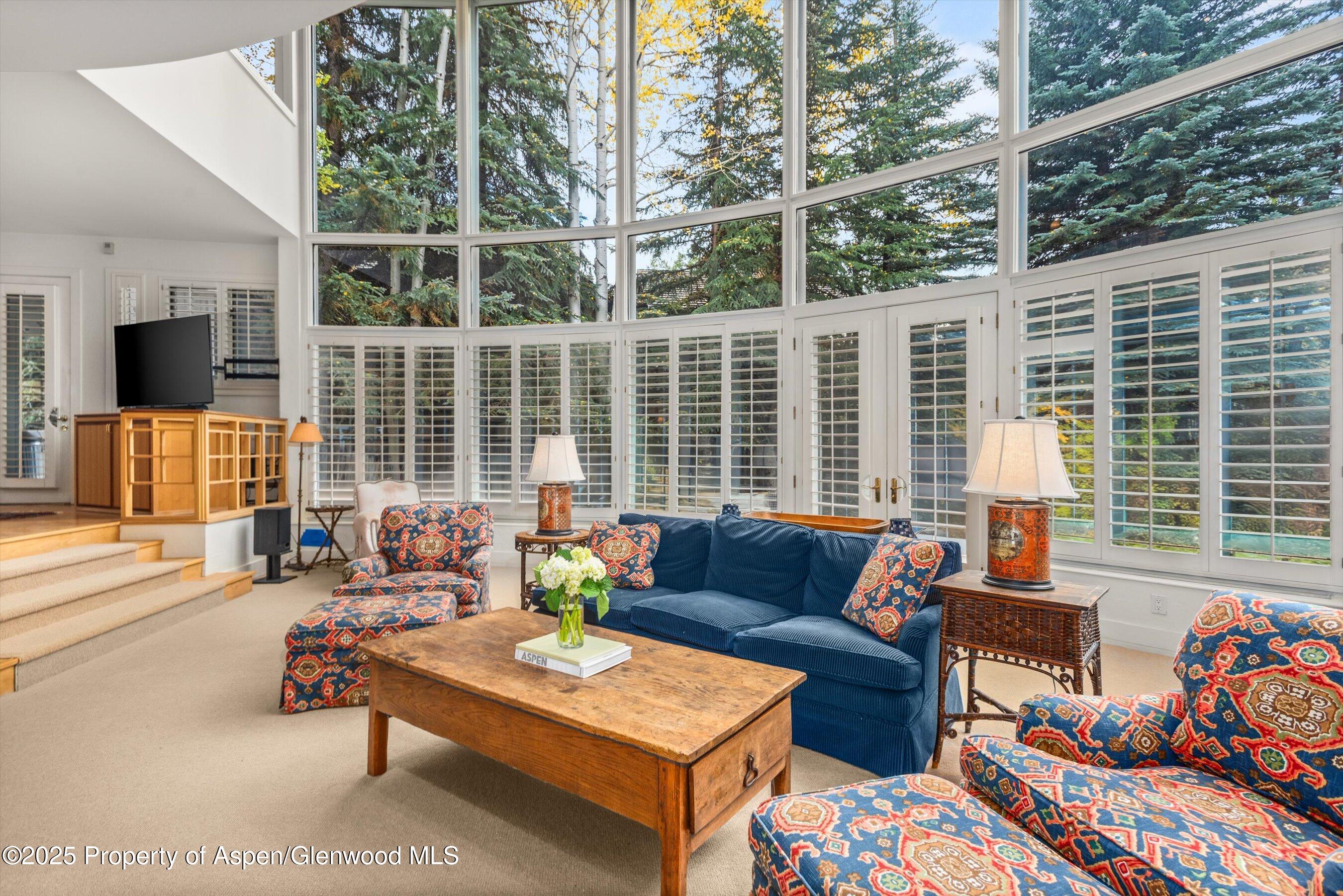 431 W Hopkins Avenue, Aspen