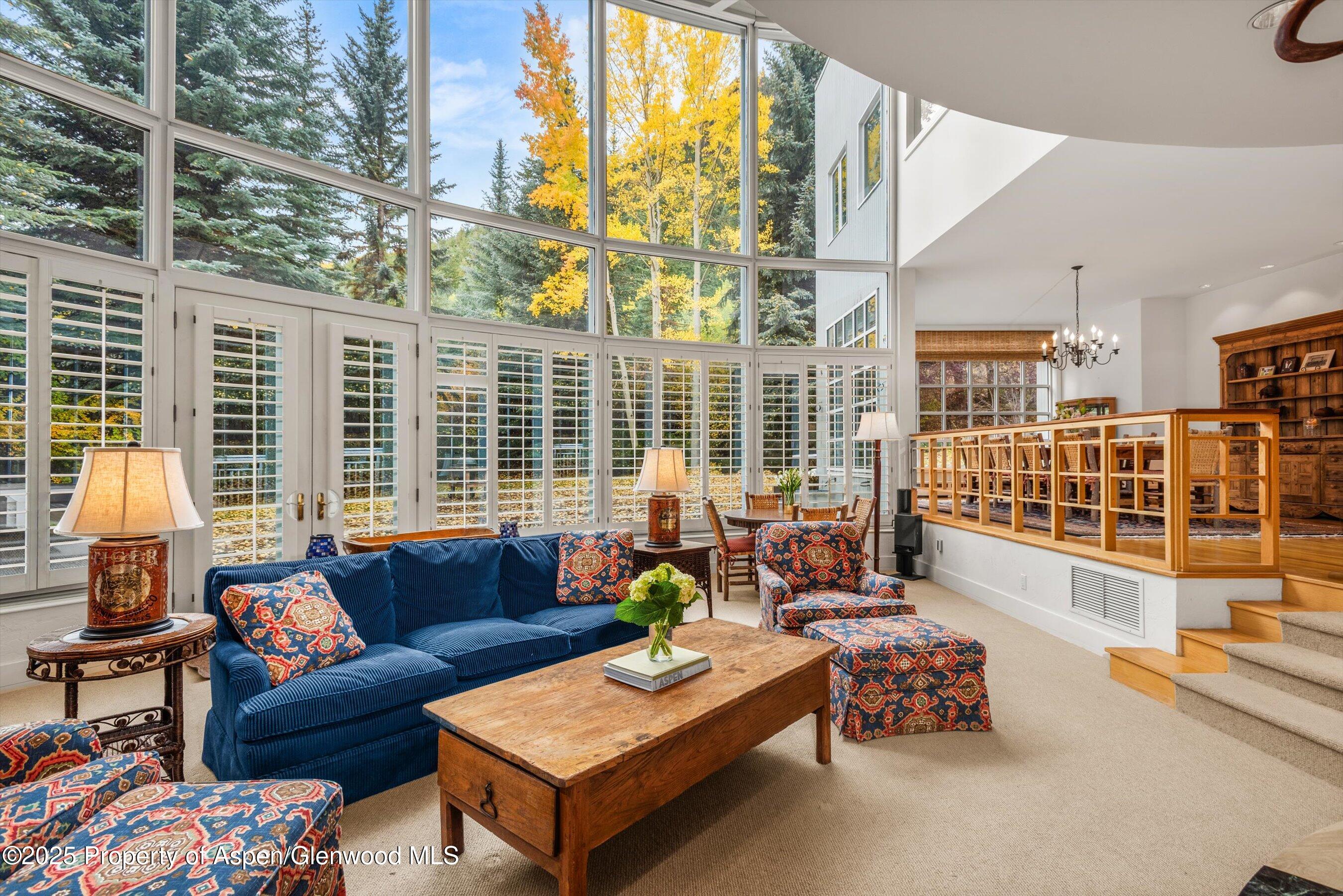431 W Hopkins Avenue, Aspen