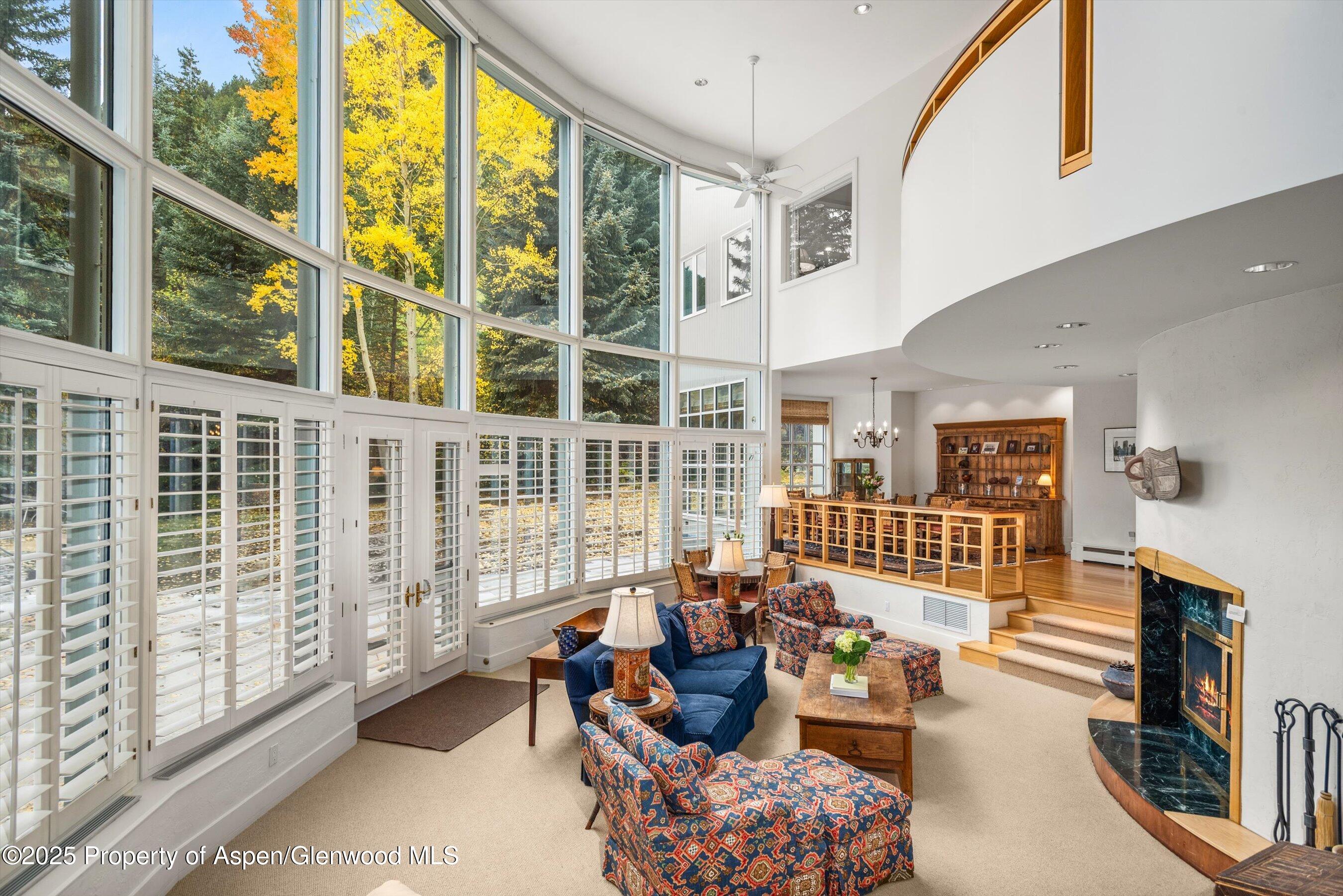 431 W Hopkins Avenue, Aspen