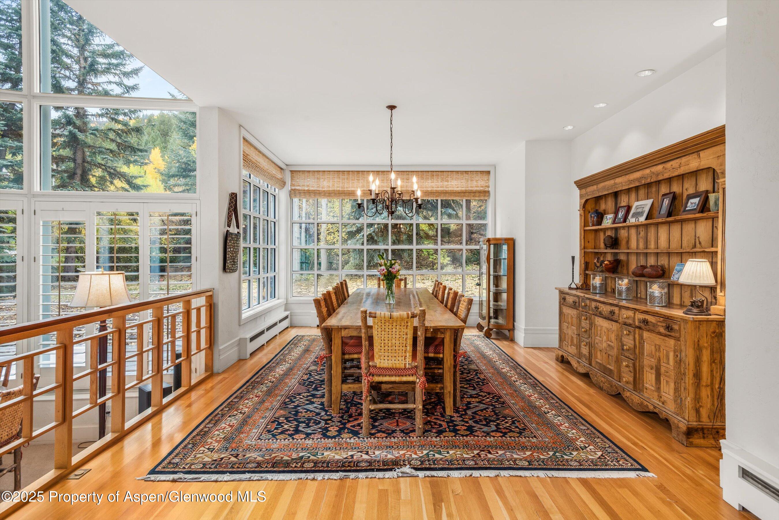 431 W Hopkins Avenue, Aspen